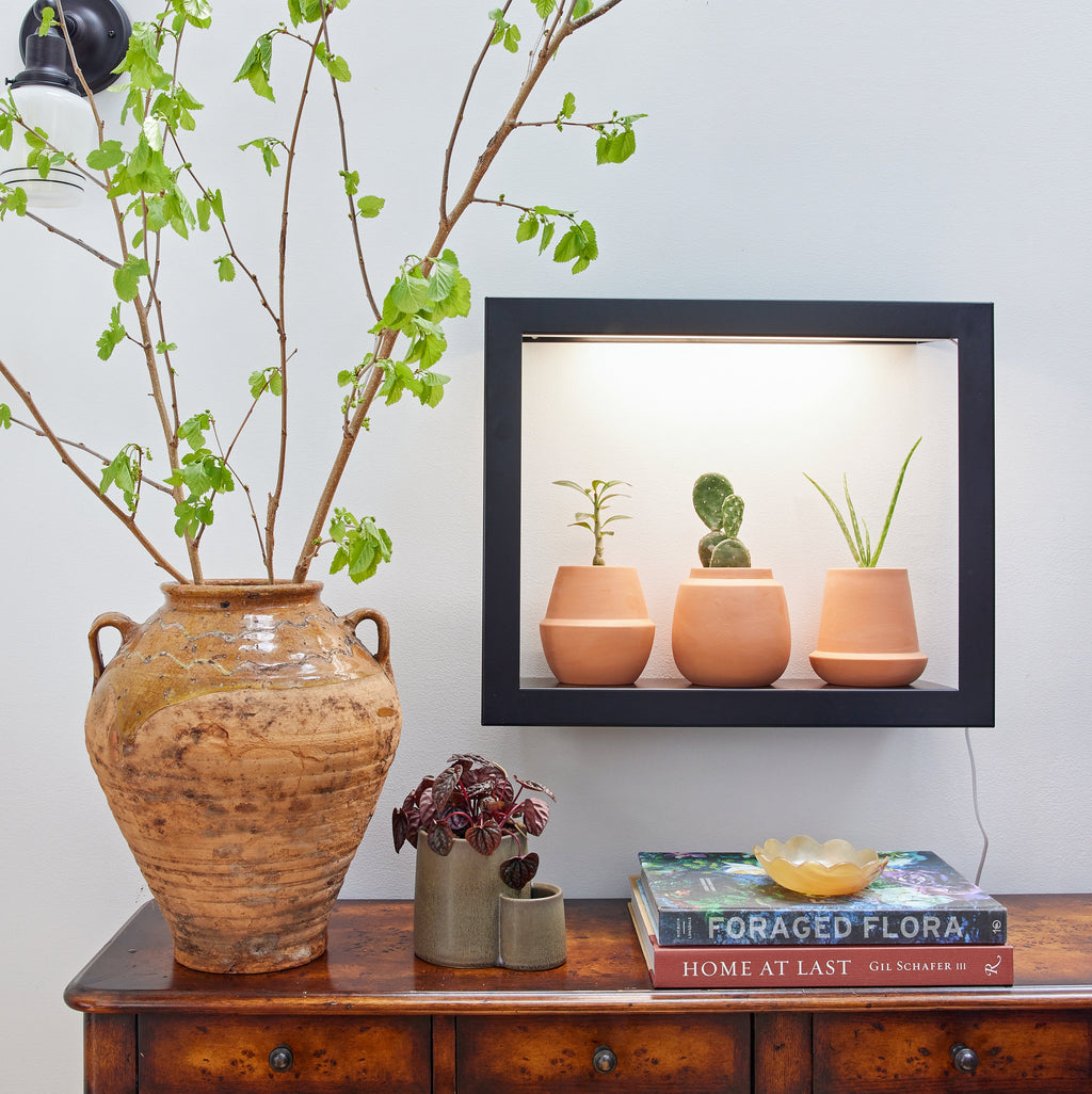 Modern Sprout Modern Terracotta Grow Kits | Heirloom Boulevard