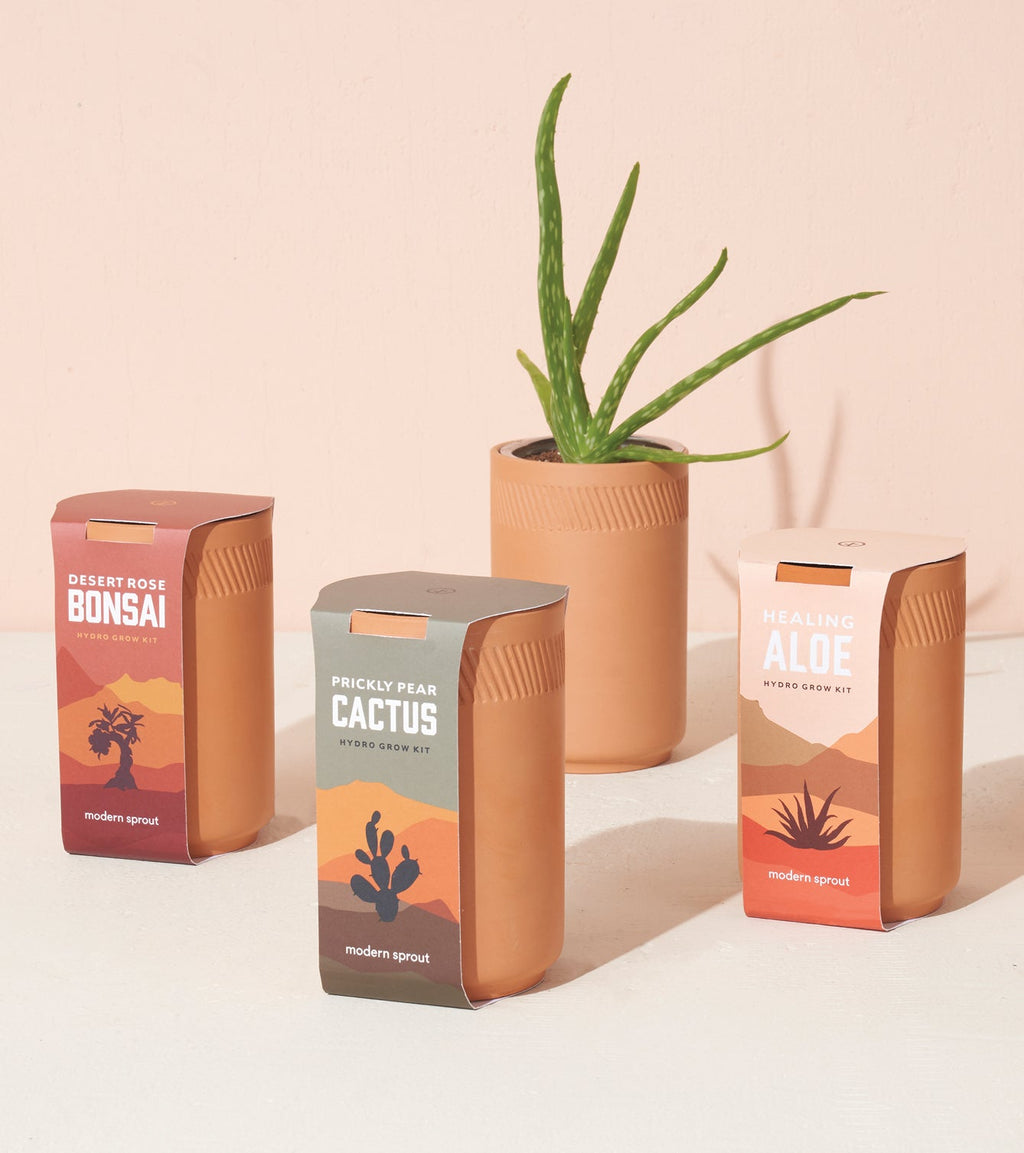 Modern Sprout Terracotta Grow Kits