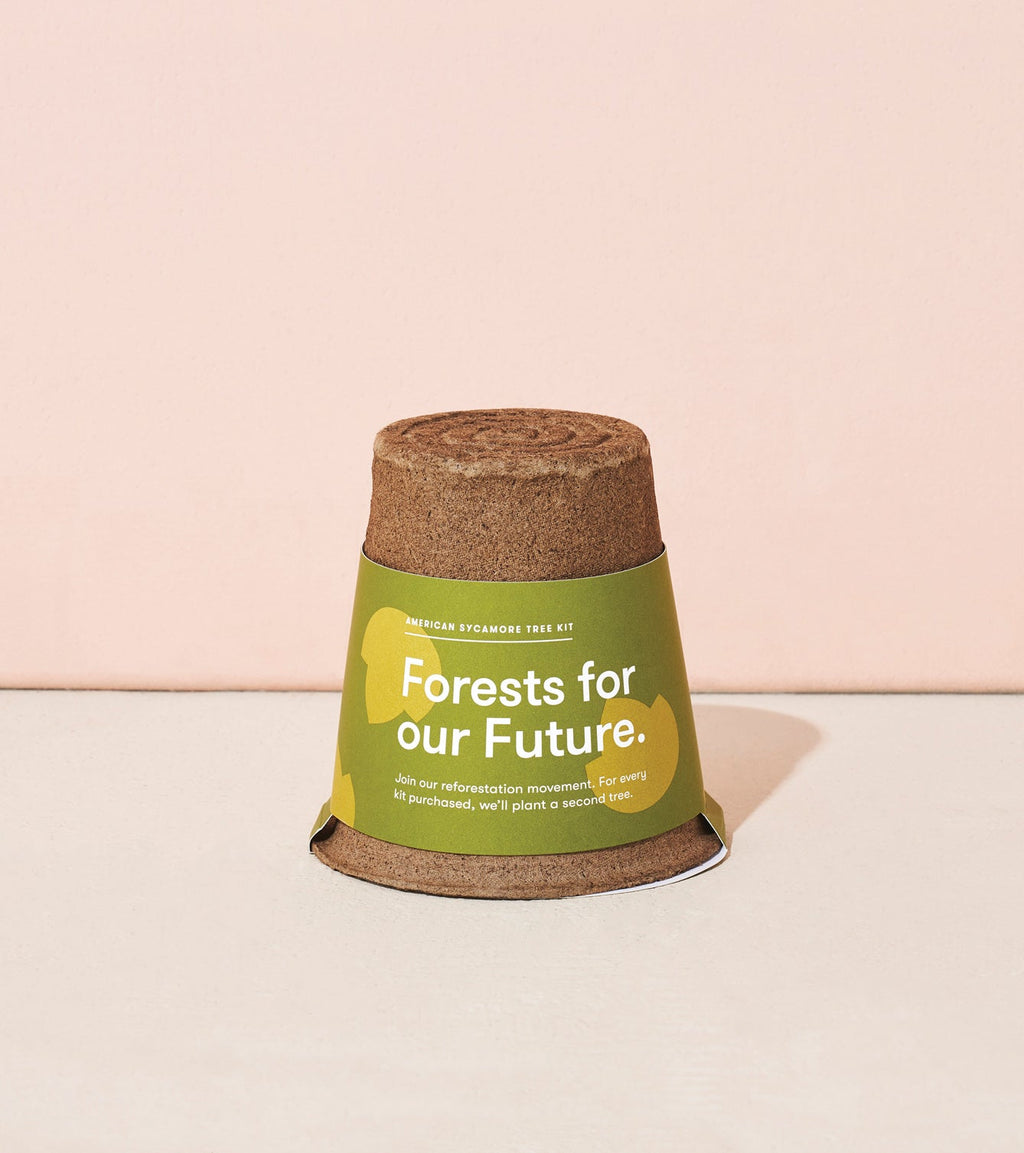 Modern Sprout One-For-One Tree Kits
