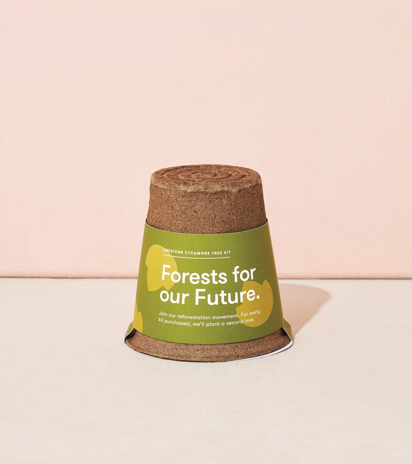 Modern Sprout One-For-One Tree Kits