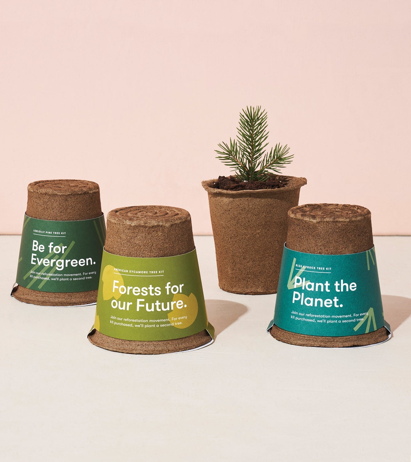 Modern Sprout One-For-One Tree Kits