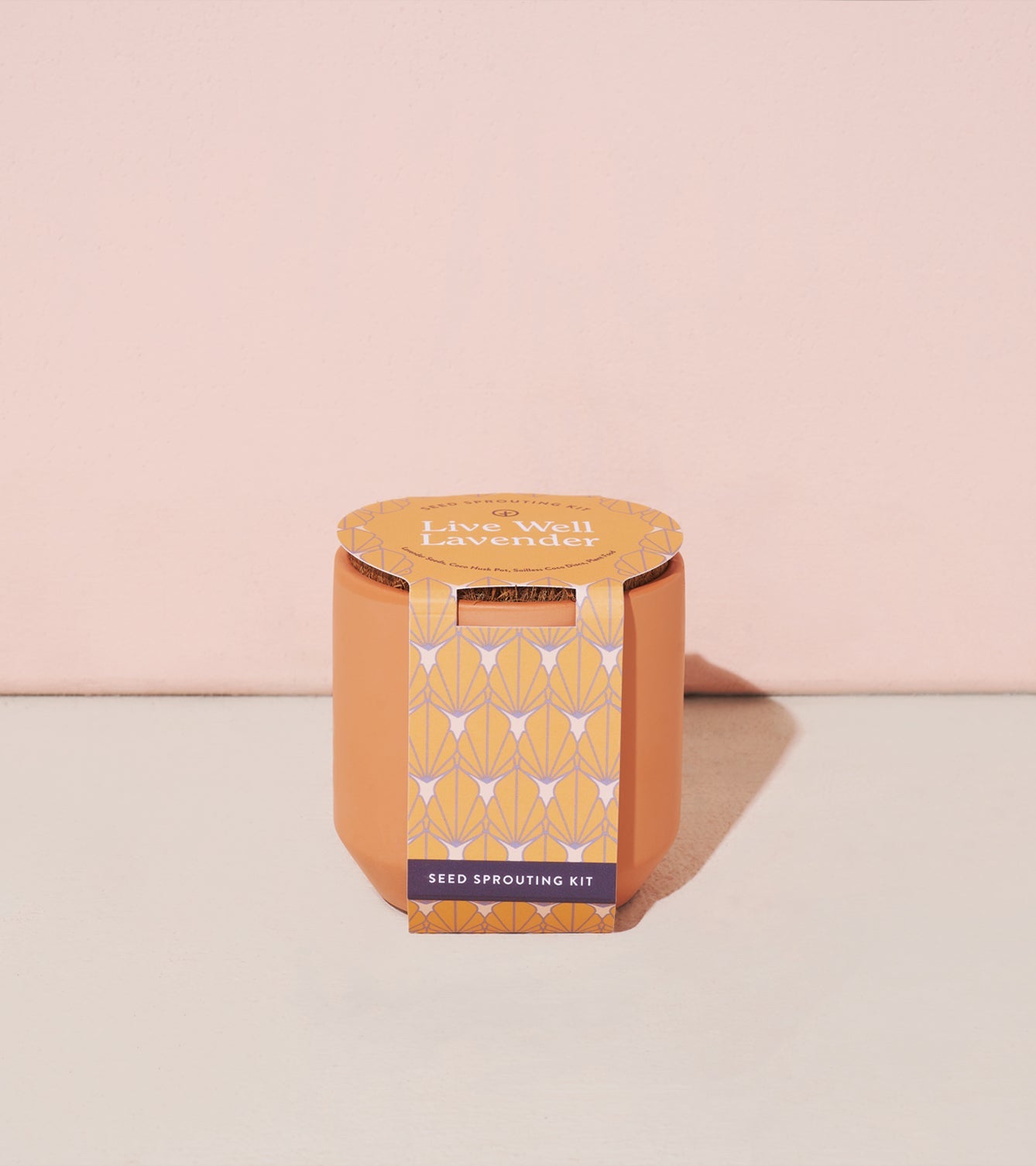 Modern Sprout Tiny Terracotta Kits