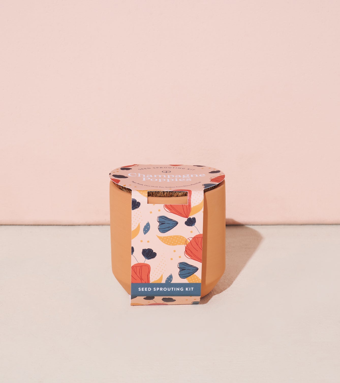 Modern Sprout Tiny Terracotta Kits