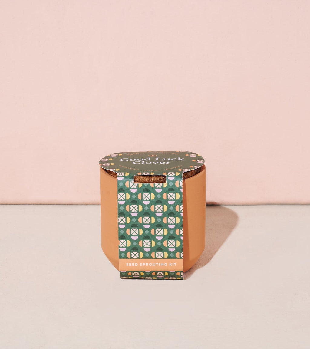 Modern Sprout Tiny Terracotta Kits