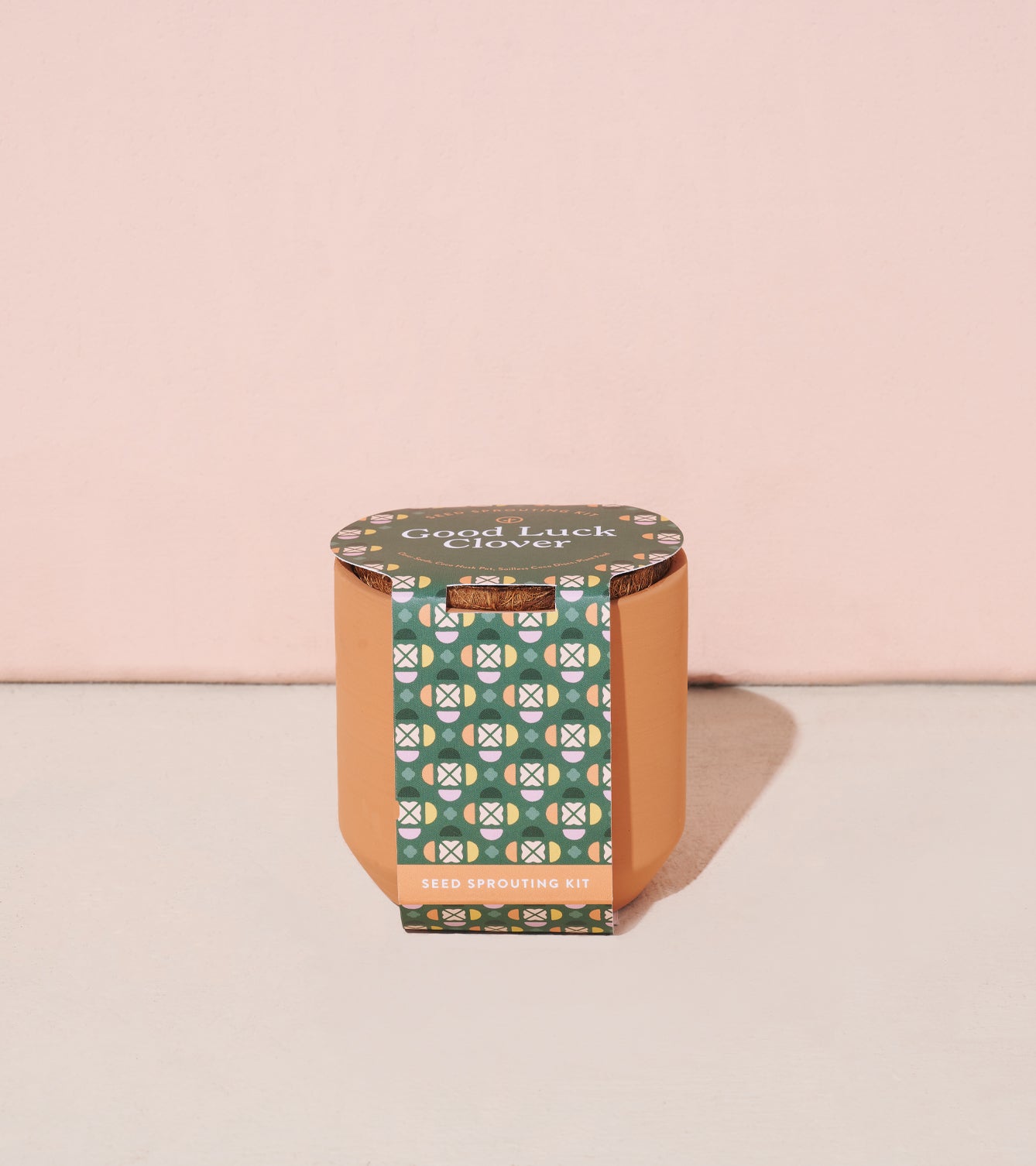 Modern Sprout Tiny Terracotta Kits