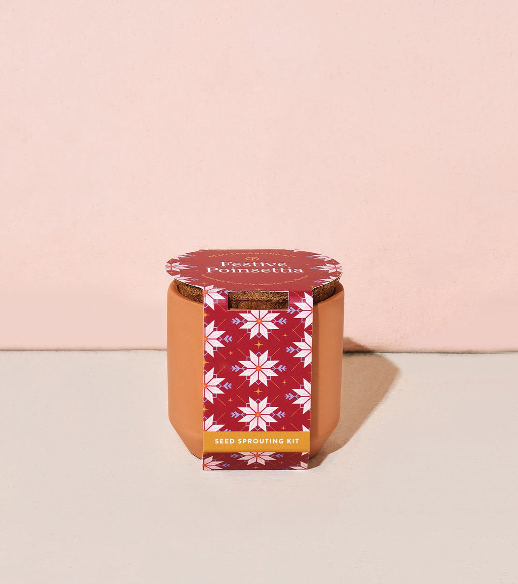 Modern Sprout Tiny Terracotta Holiday Kits