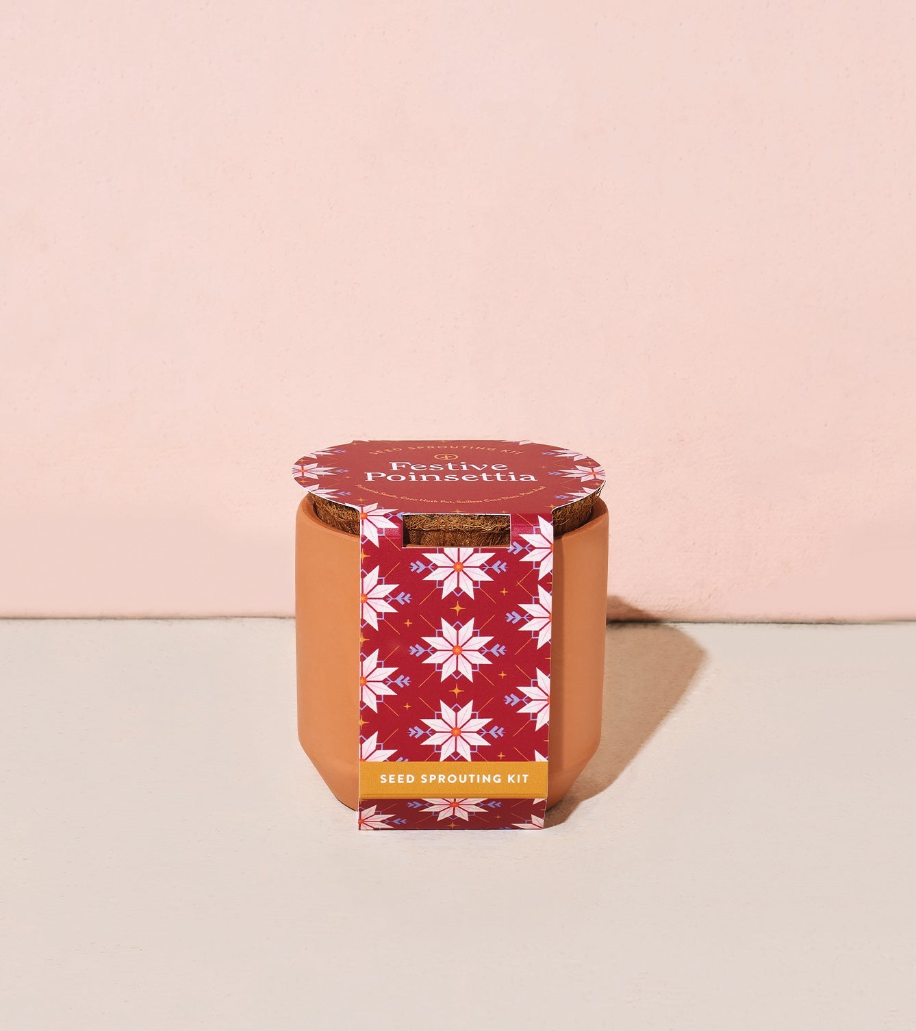 Modern Sprout Tiny Terracotta Holiday Kits