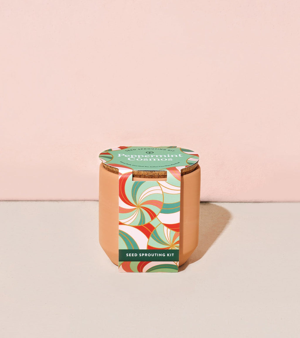 Modern Sprout Tiny Terracotta Holiday Kits