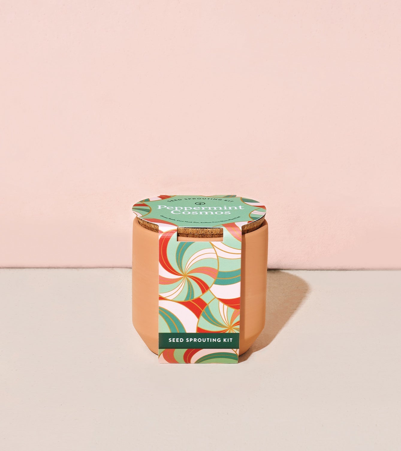 Modern Sprout Tiny Terracotta Holiday Kits