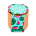 Modern Sprout Tiny Terracotta Garden Kits Baby Watermelon | Heirloom Boulevard