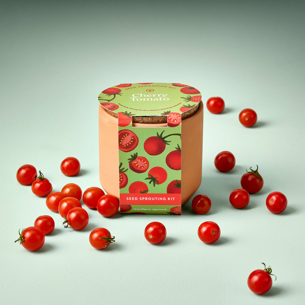 Modern Sprout Tiny Terracotta Garden Kits