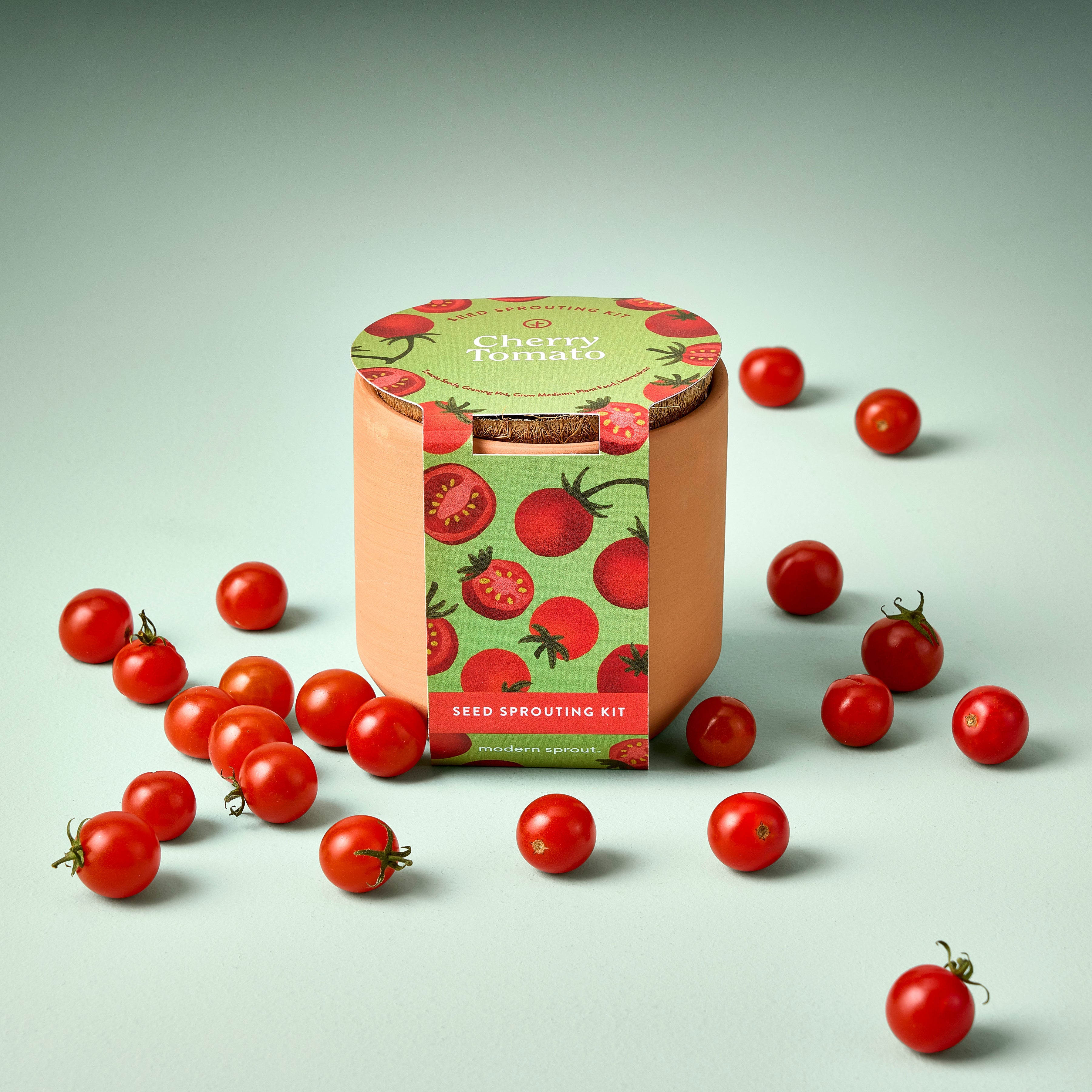 Modern Sprout Tiny Terracotta Garden Kits