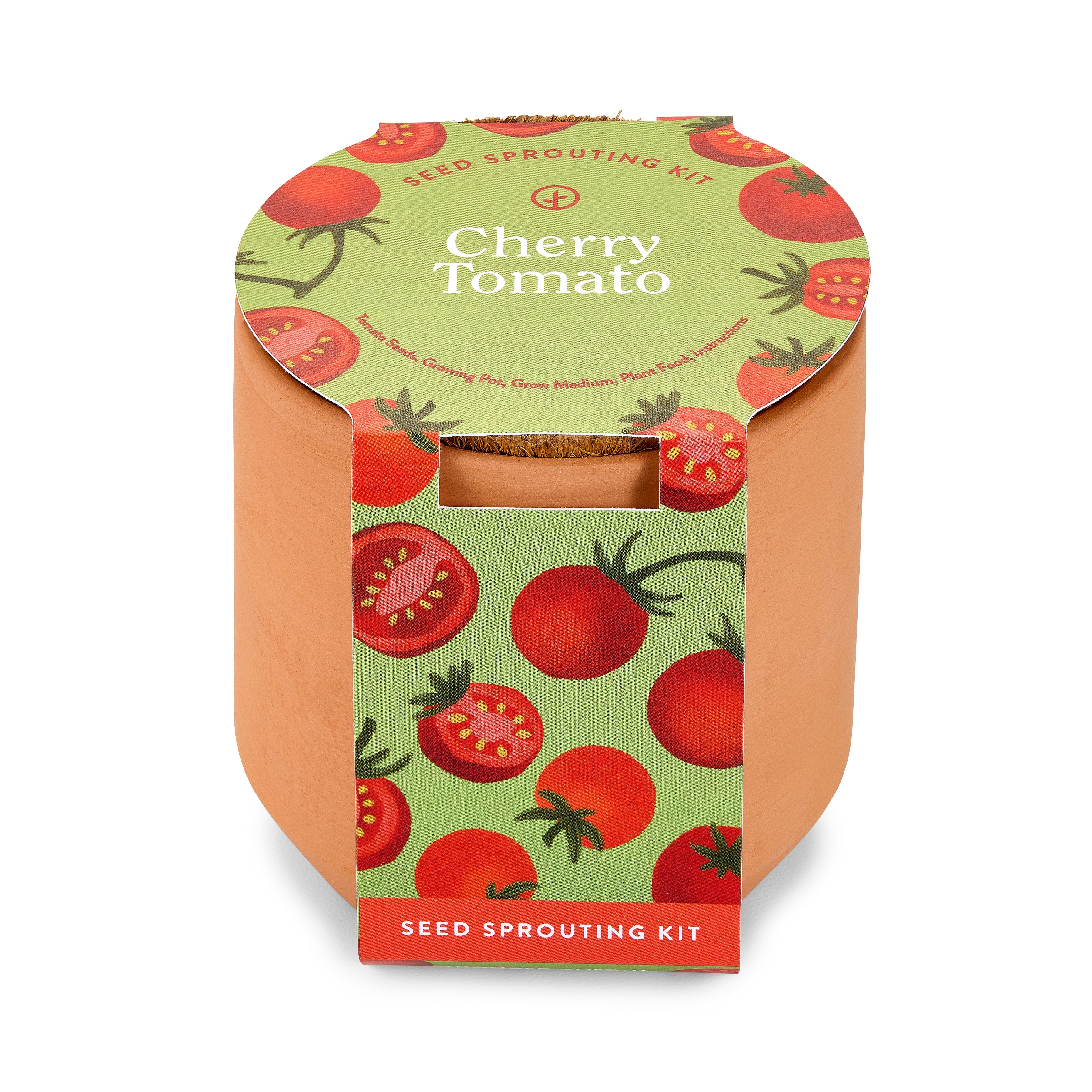 Modern Sprout Tiny Terracotta Garden Kits