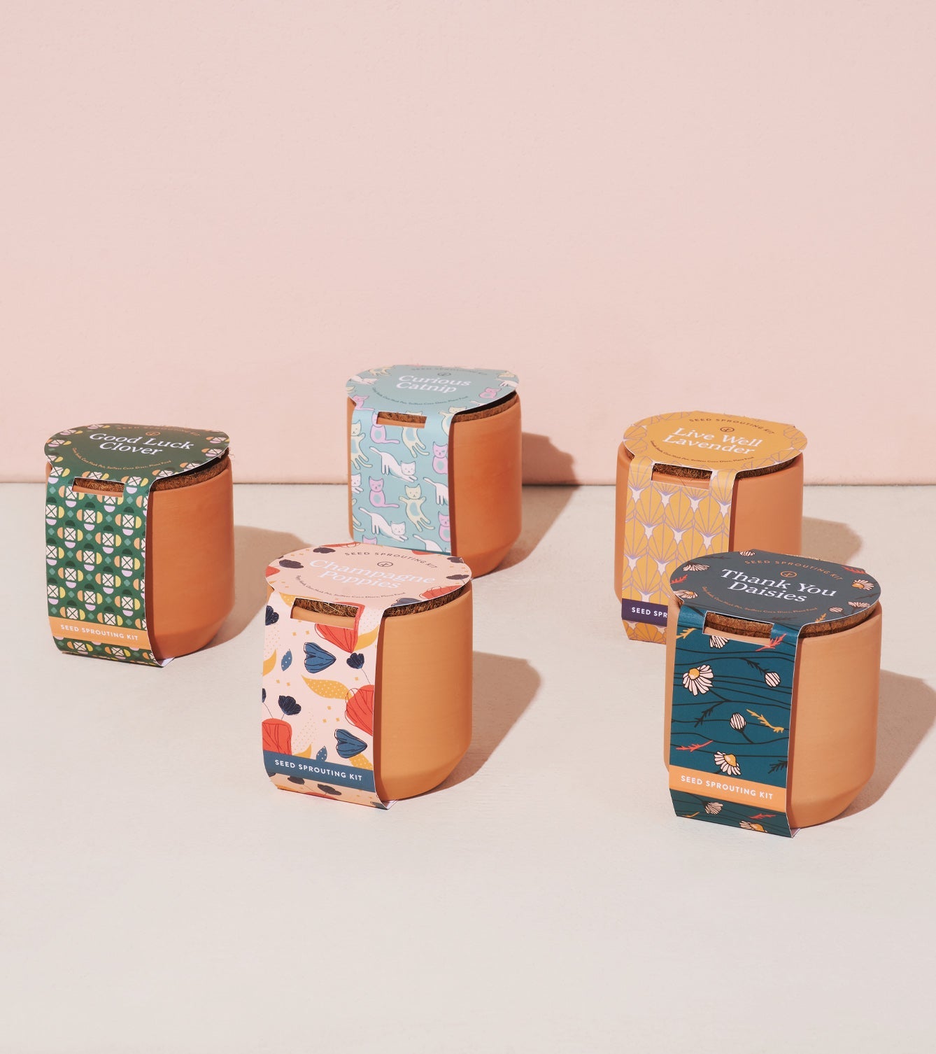 Modern Sprout Tiny Terracotta Kits