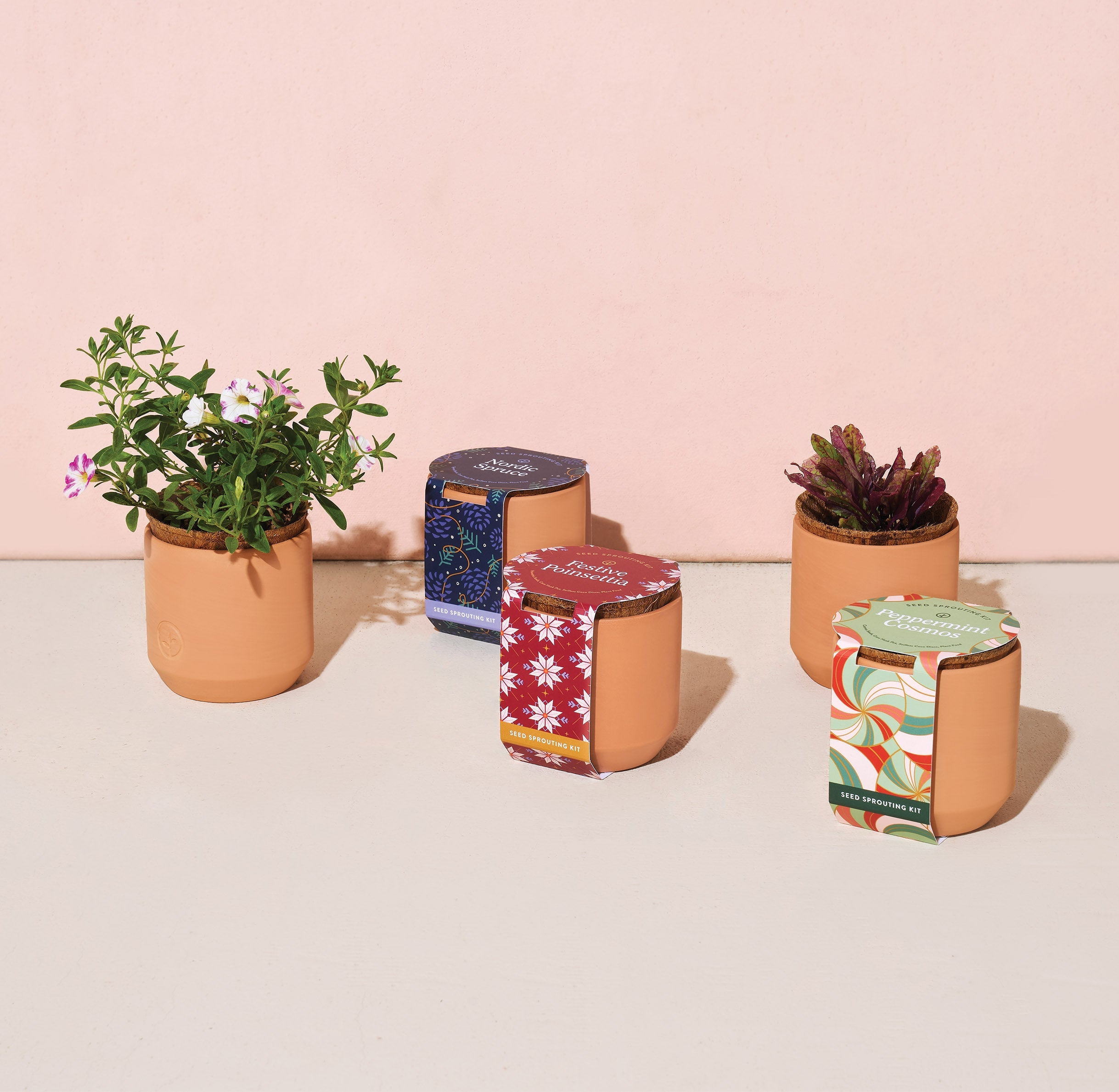 Modern Sprout Tiny Terracotta Holiday Kits