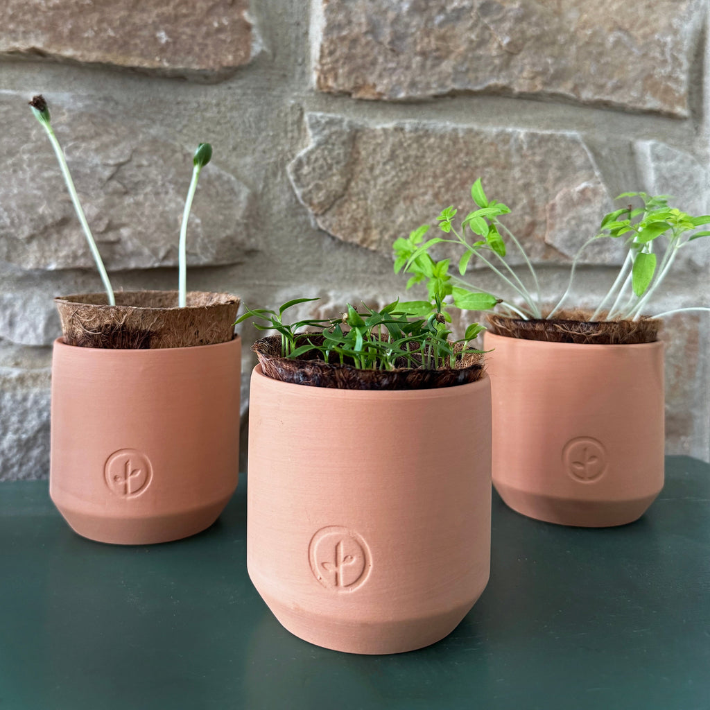 Modern Sprout Tiny Terracotta Garden Kits