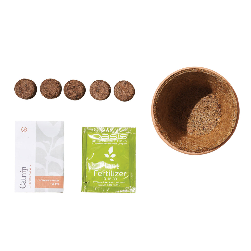 Modern Sprout Pet Tiny Terracotta Grow Kits