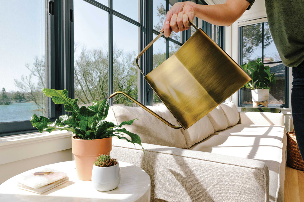 Modern Sprout Watering Cans