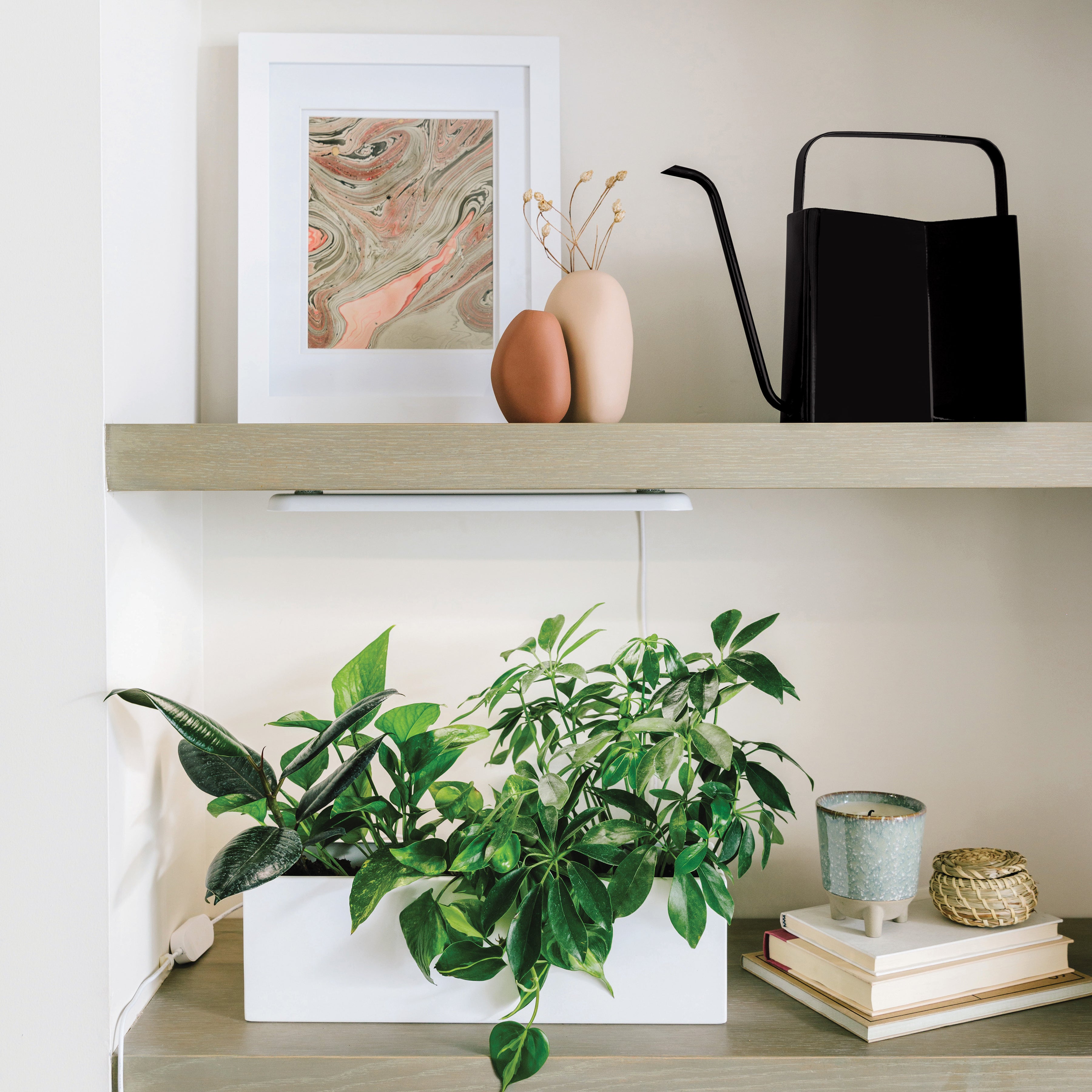 Modern Sprout Watering Cans | Heirloom Boulevard