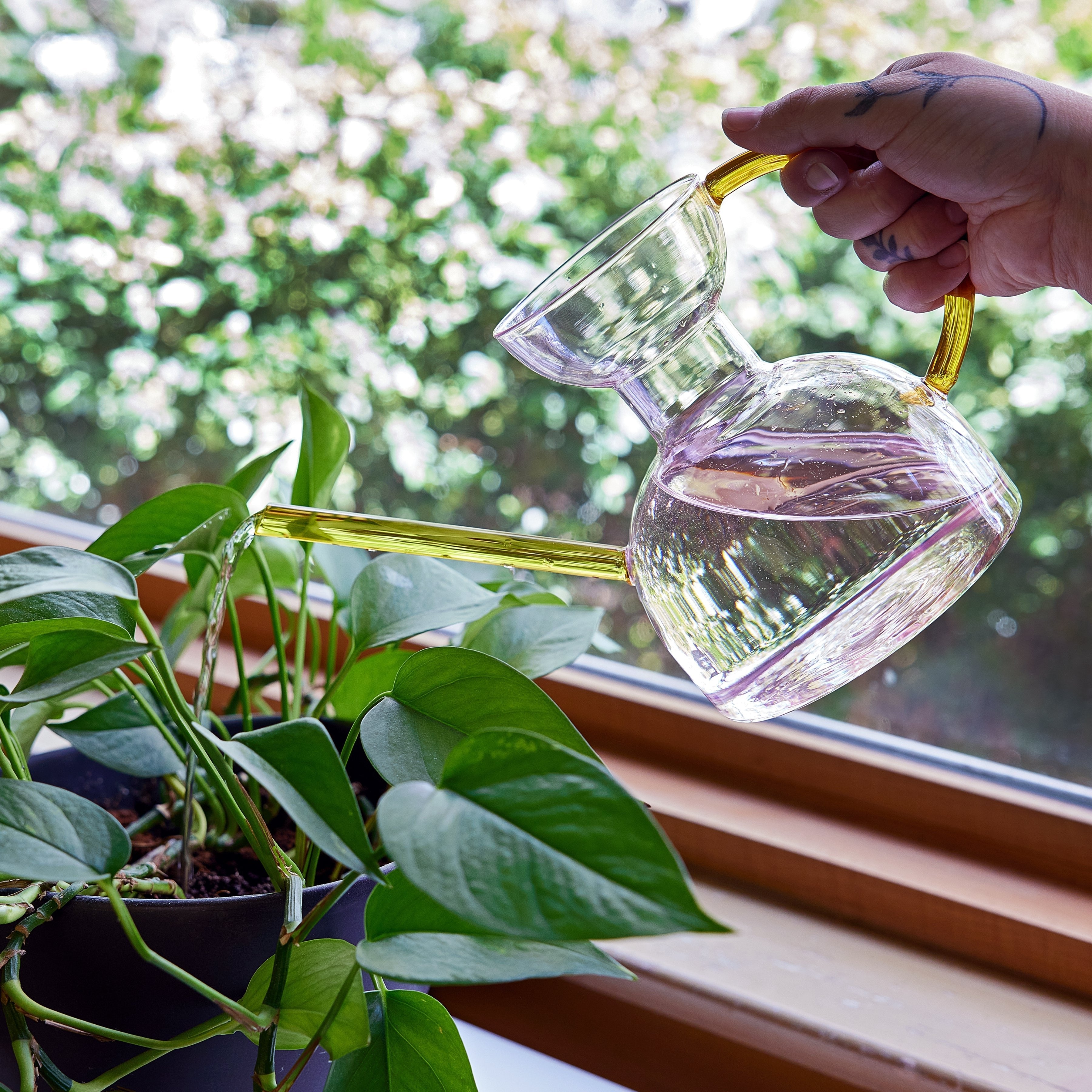 Modern Sprout Glass Watering Can