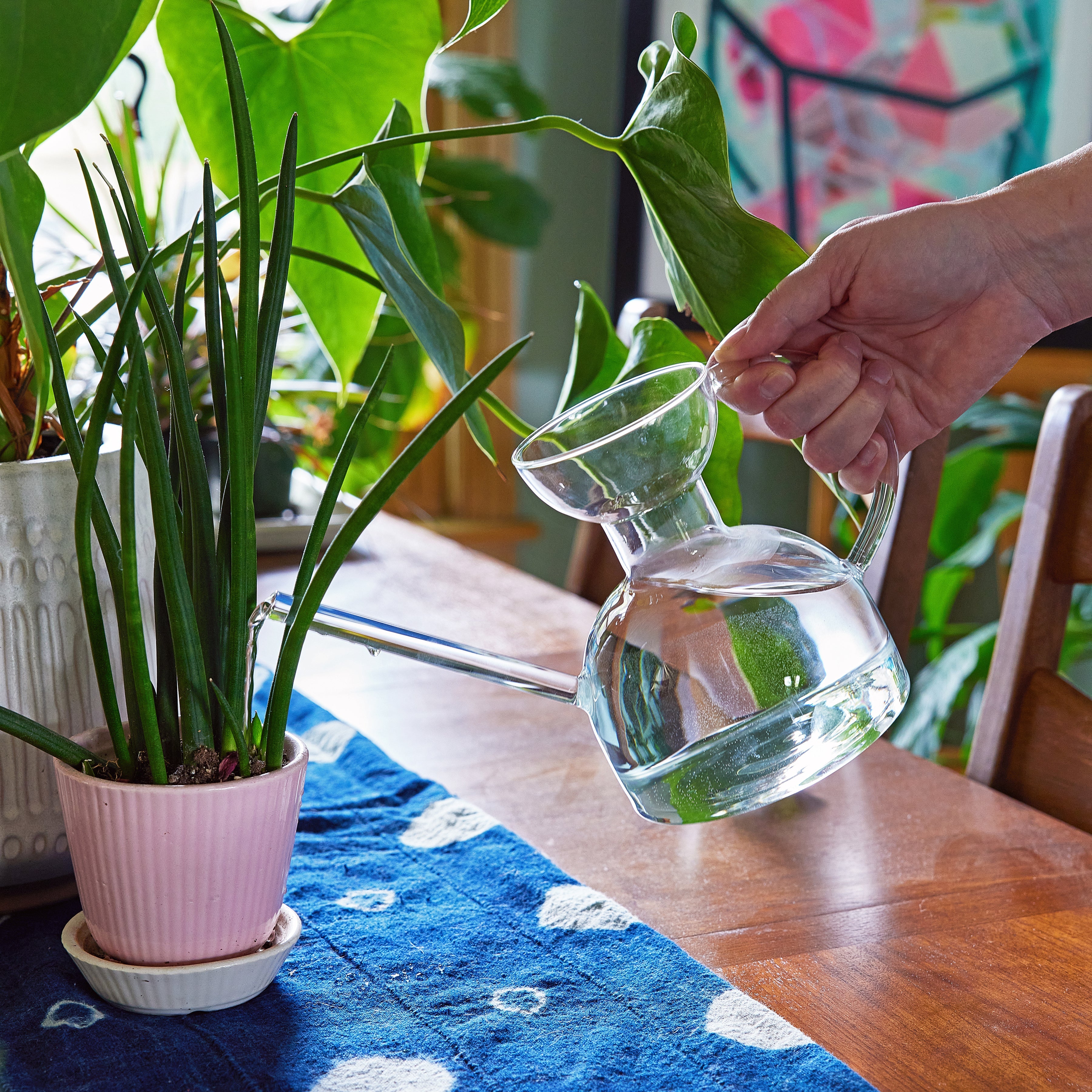 Modern Sprout Glass Watering Can