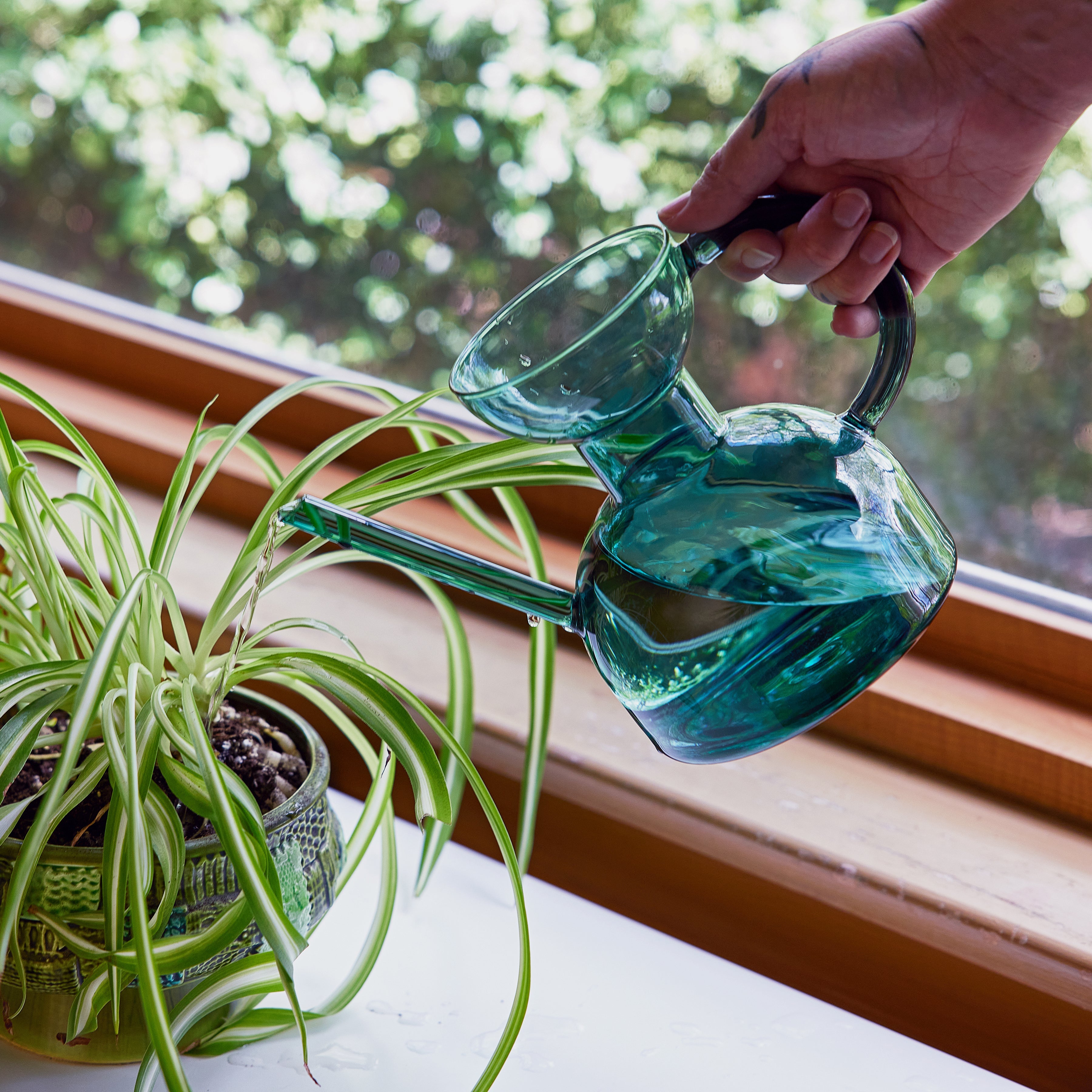 Modern Sprout Glass Watering Can