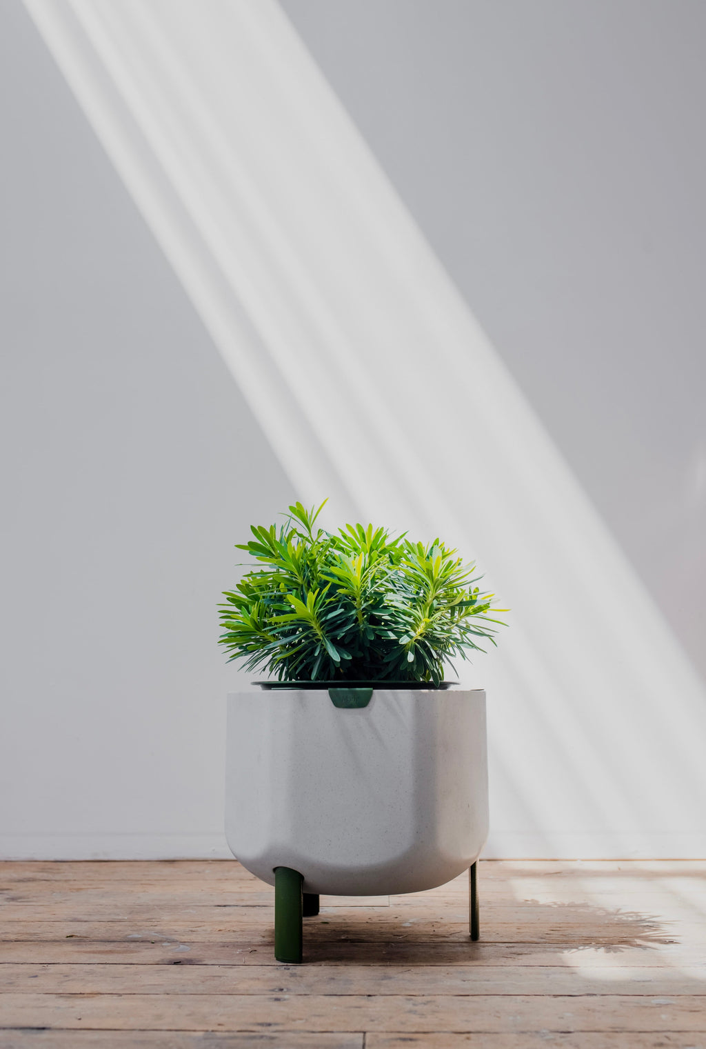 Marly Garden Smaller Marly Planter Sage Green No Legs for Stacking | Heirloom Boulevard