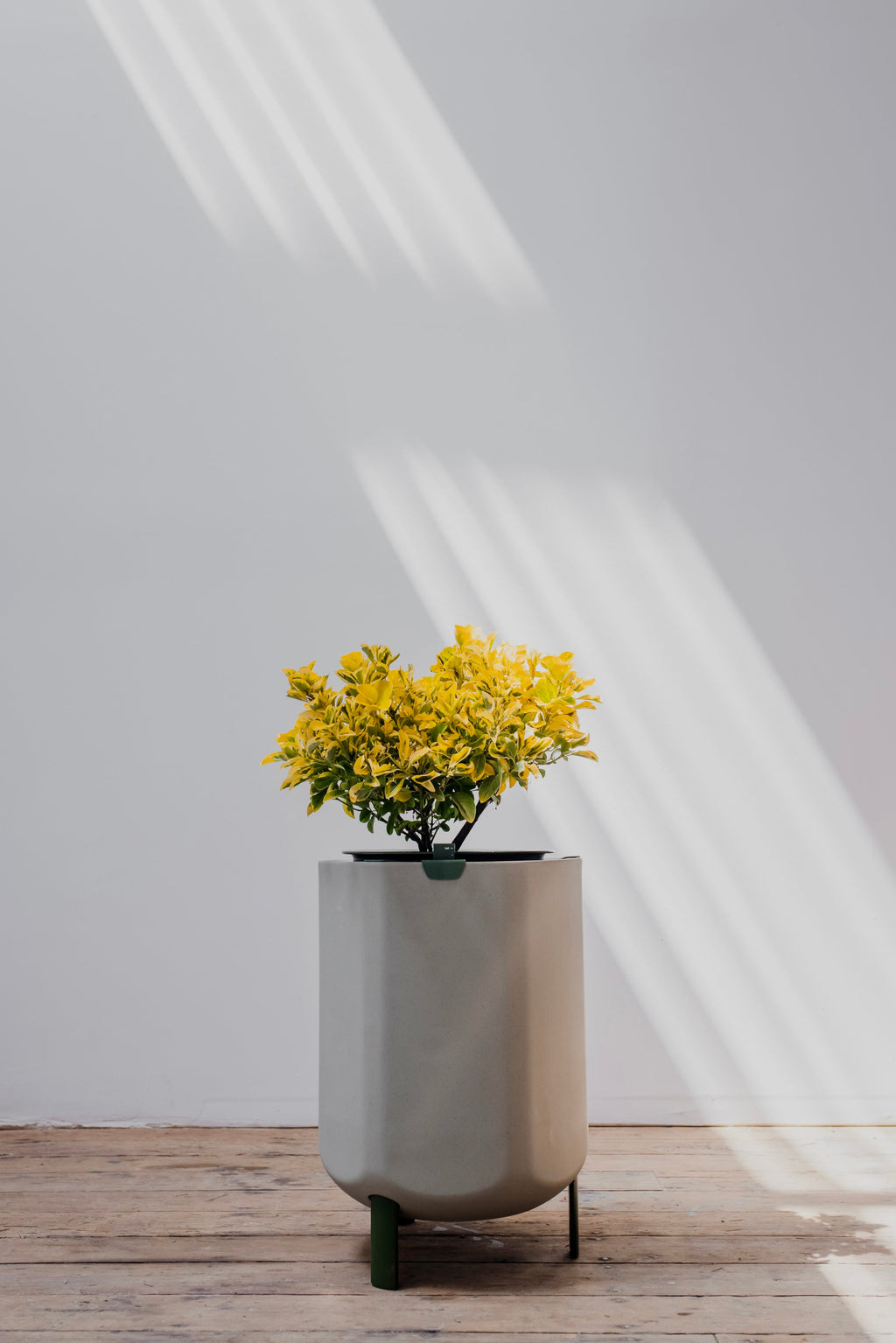 Marly Garden Larger Marly Planter Sage Green Without Legs for Stacking | Heirloom Boulevard