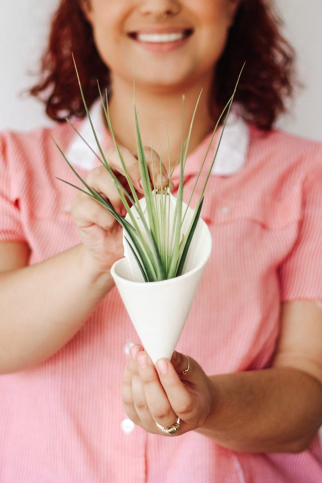 Carter + Rose Ceramic Wall Planter, Medium Cone Carter + Rose | Heirloom Boulevard