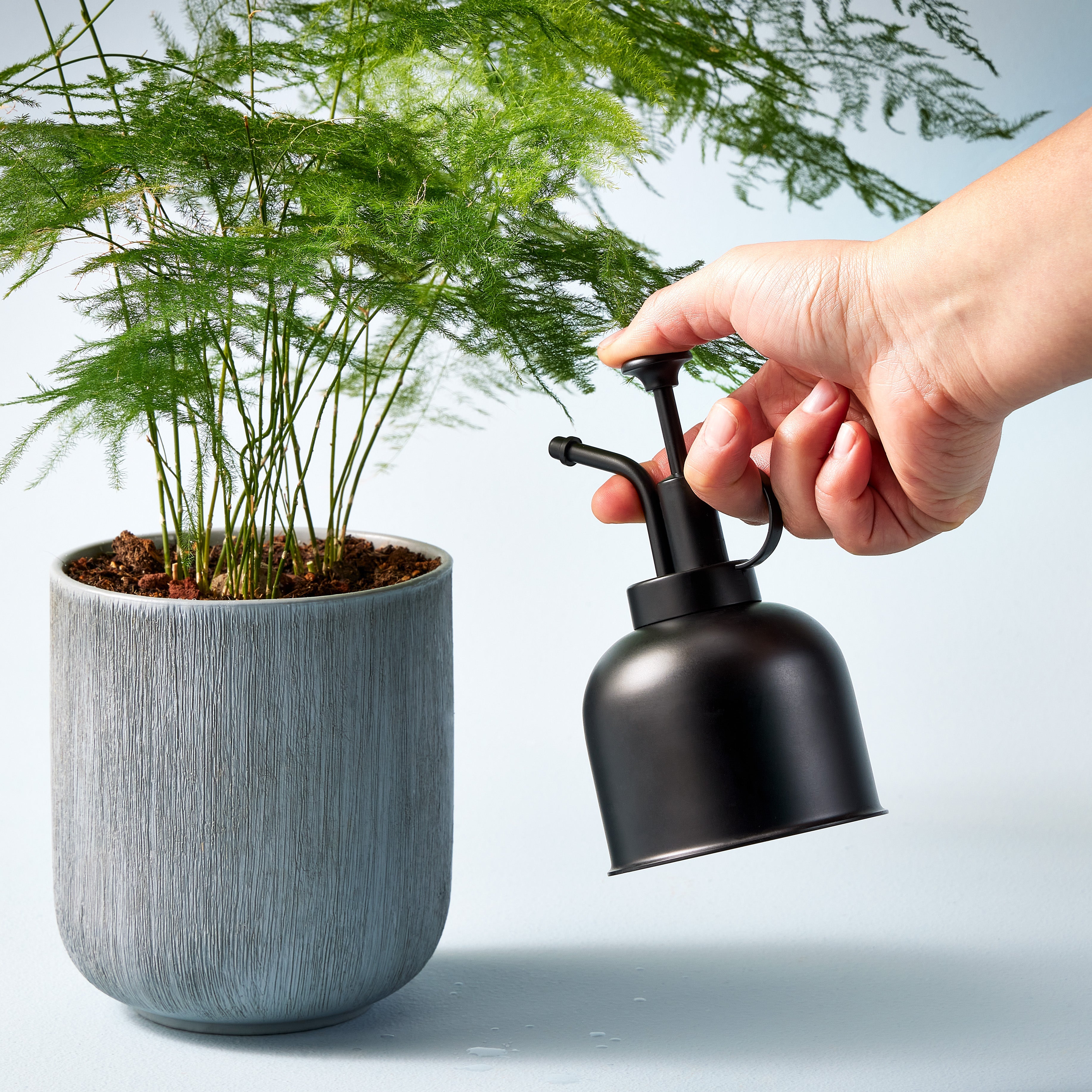 Modern Sprout Misters