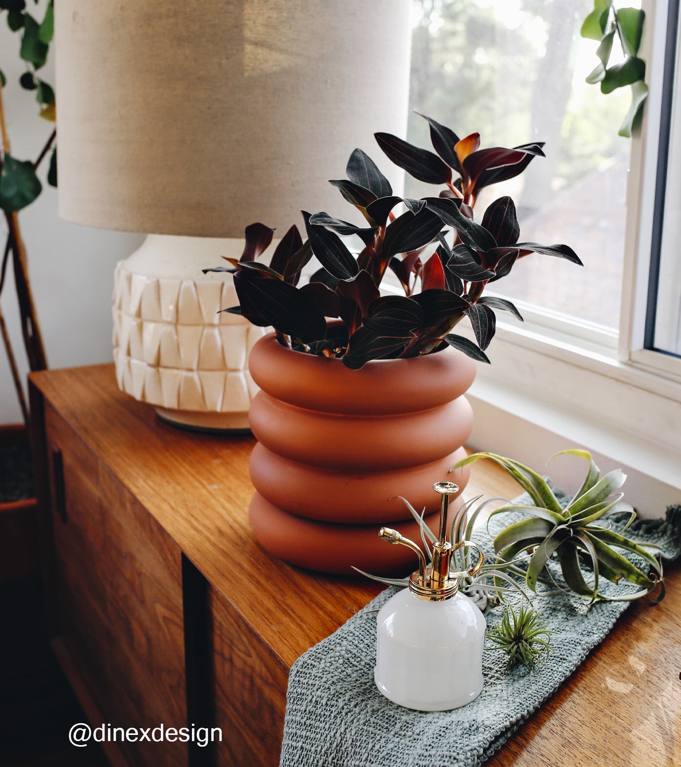 Modern Sprout Misters