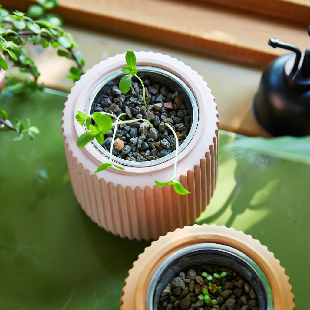 Modern Sprout Flower Grow Kits