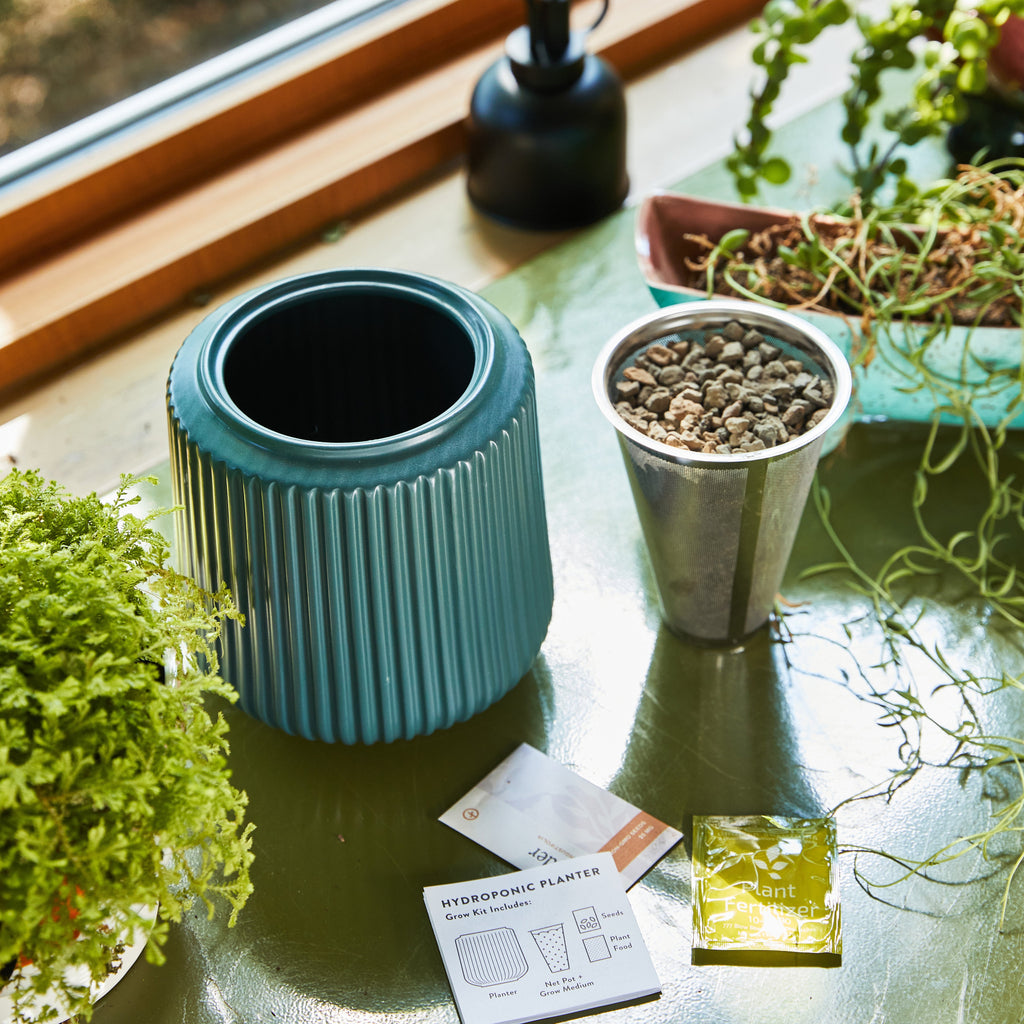 Modern Sprout Flower Grow Kits