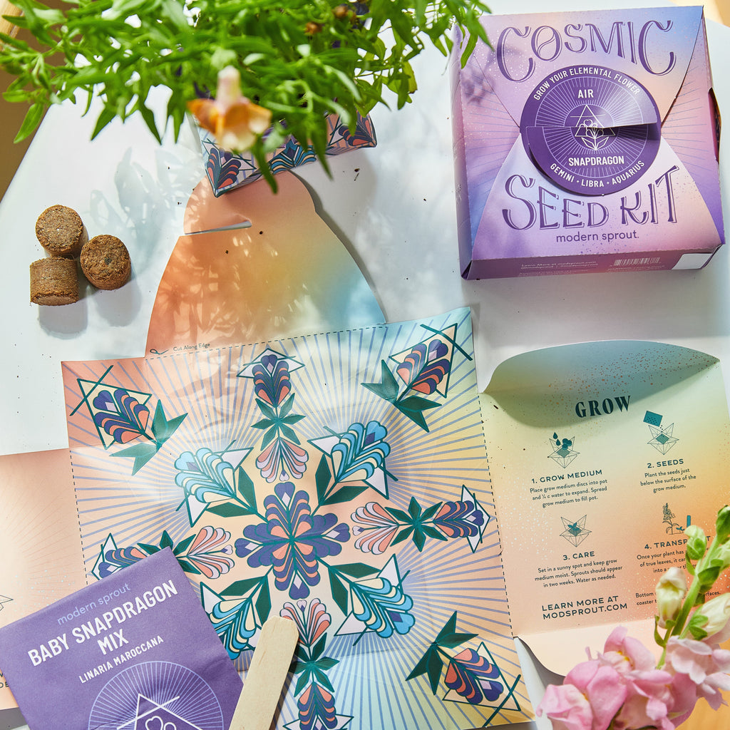 Modern Sprout Cosmic Seed Kits
