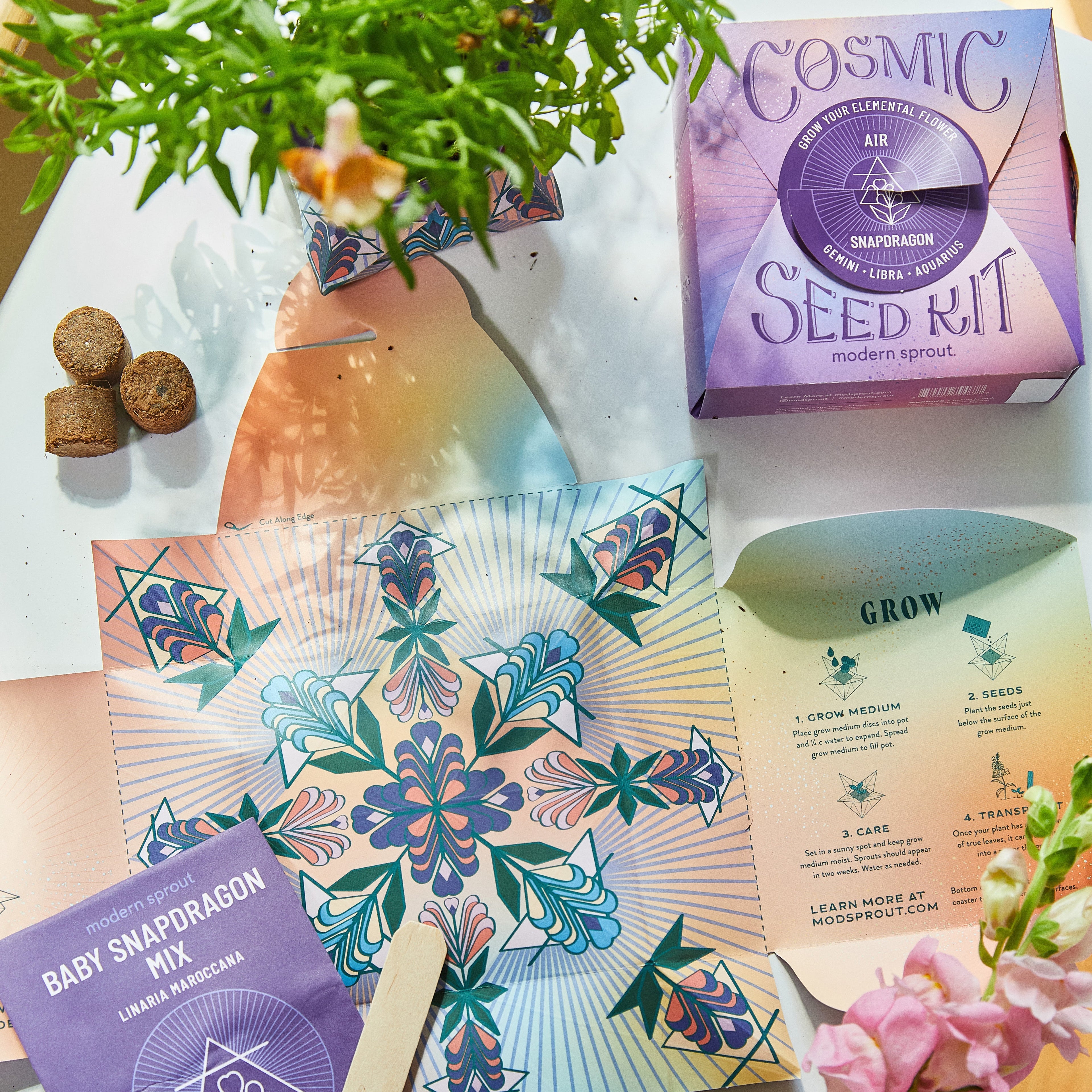 Modern Sprout Cosmic Seed Kits