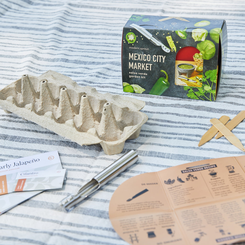 Modern Sprout Seed Collection + Accessories