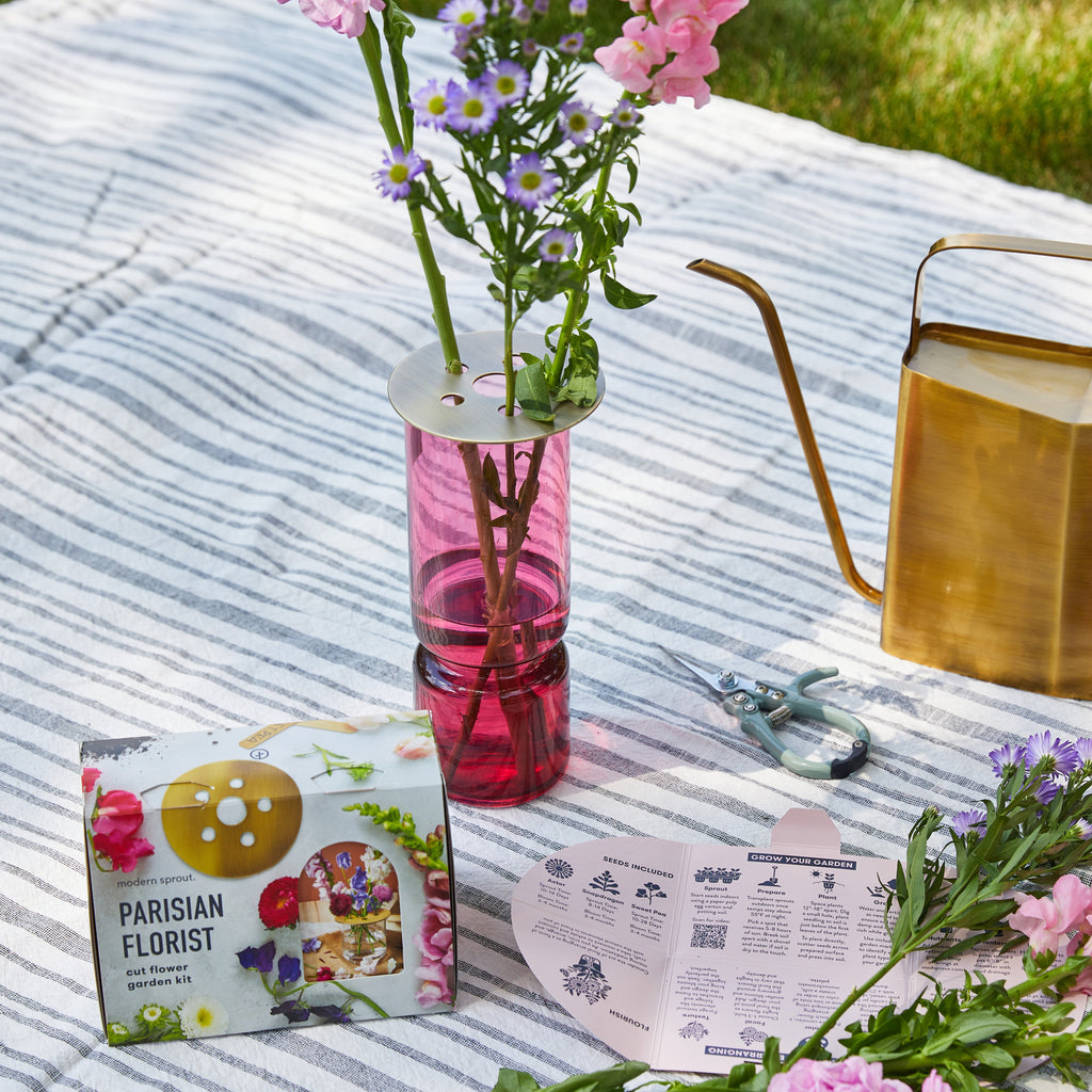 Modern Sprout Seed Collection + Accessories