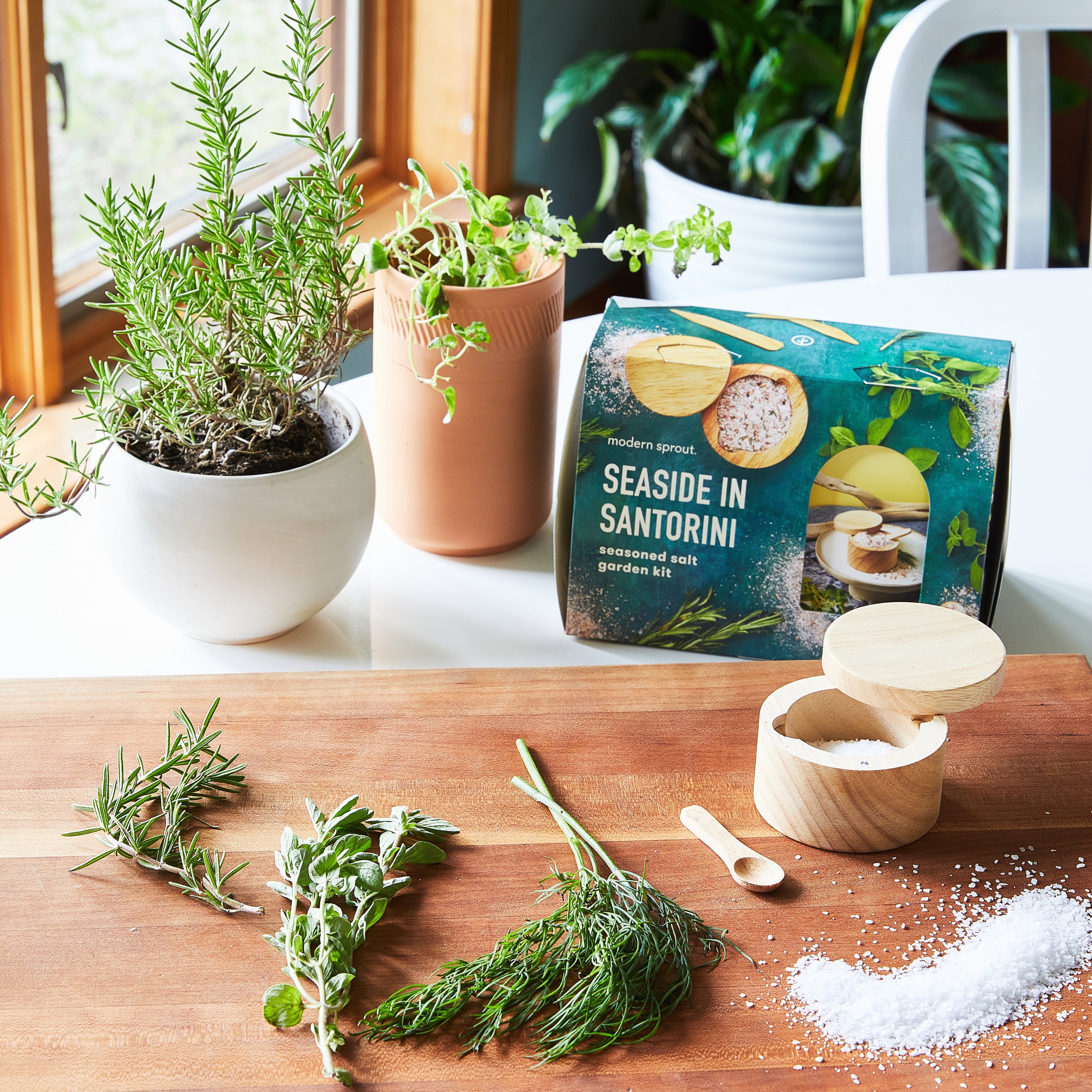 Modern Sprout Seed Collection + Accessories