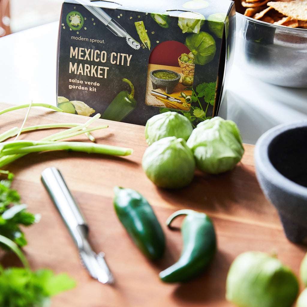 Modern Sprout Seed Collection + Accessories