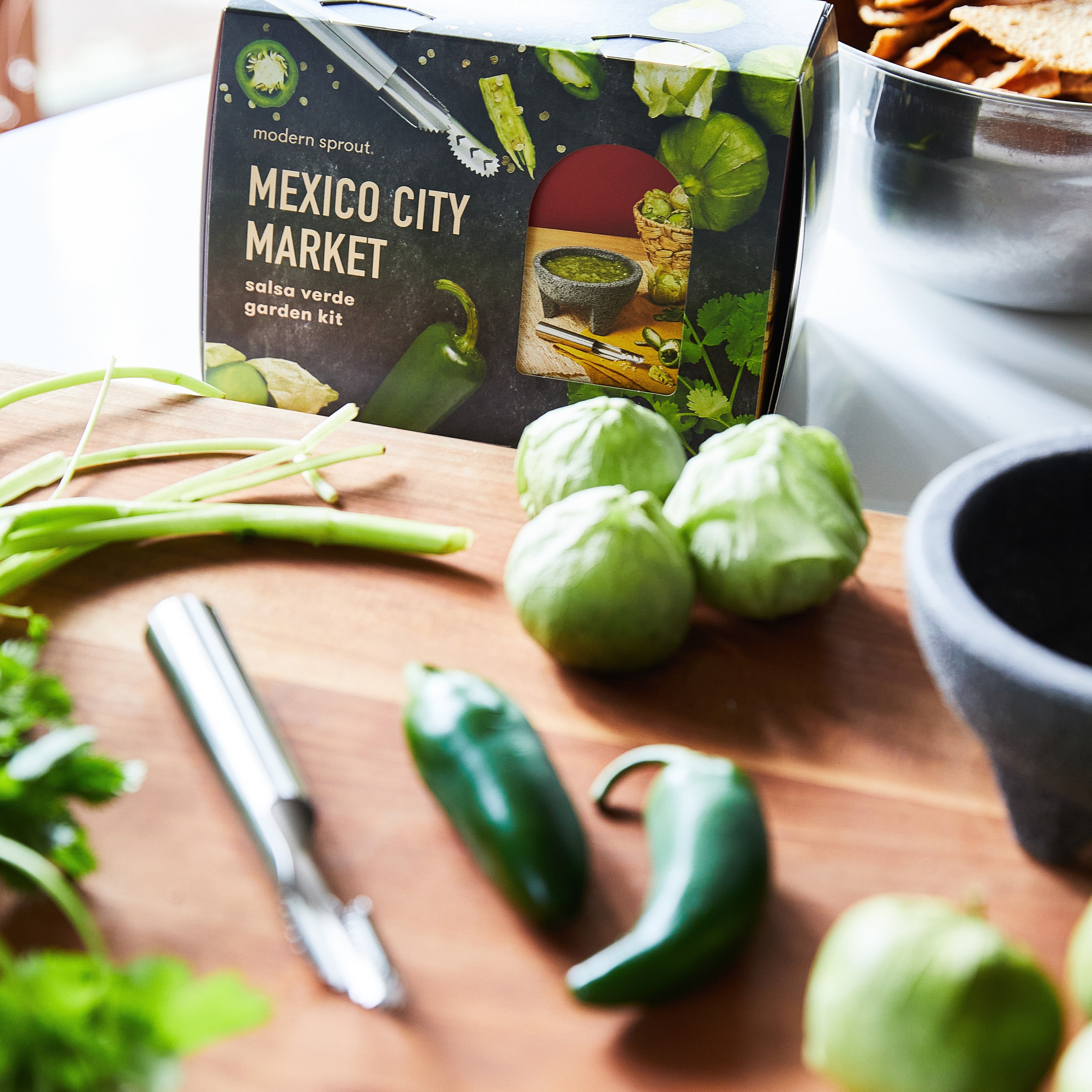 Modern Sprout Seed Collection + Accessories