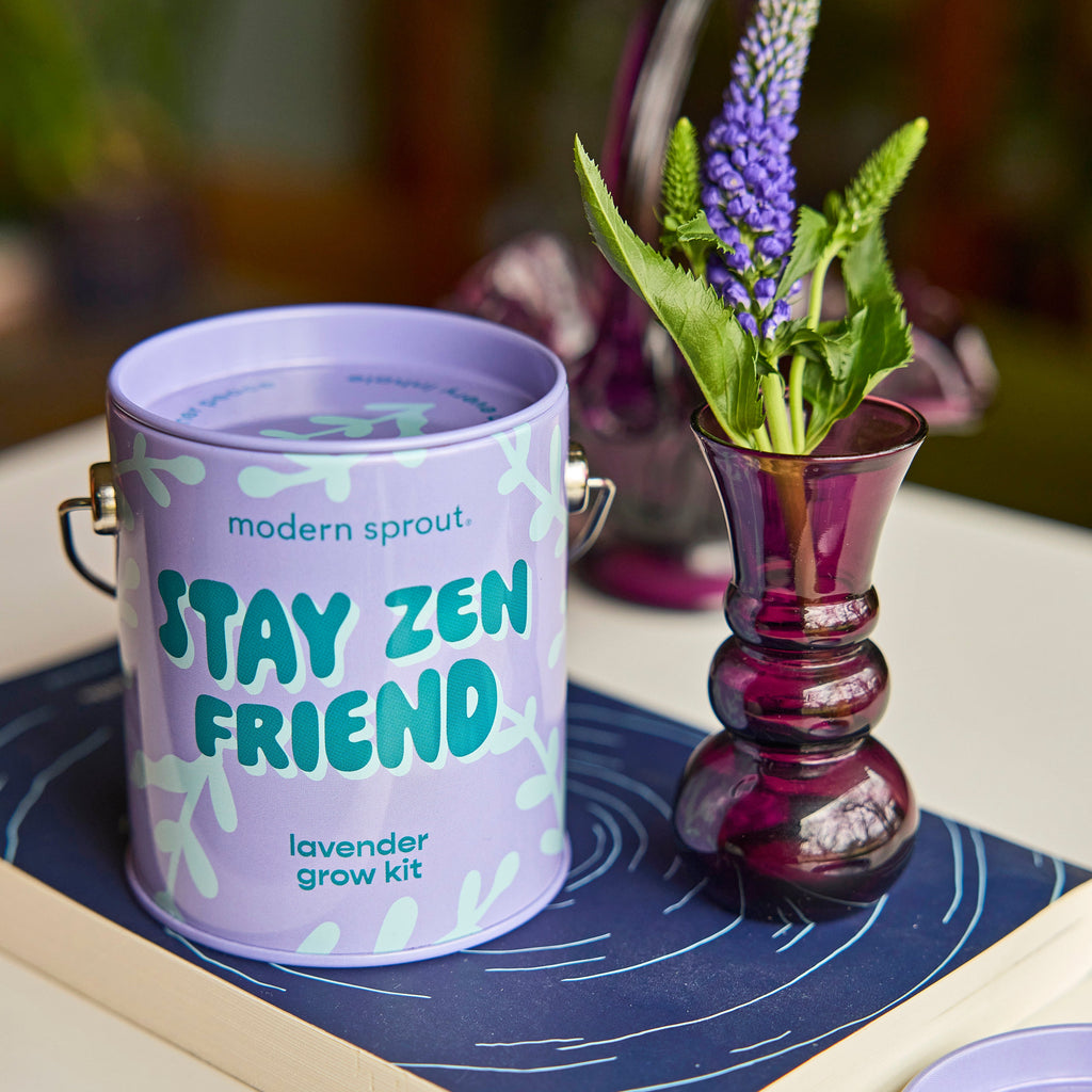 Modern Sprout Complimentary Colors Grow Kits | Heirloom Boulevard