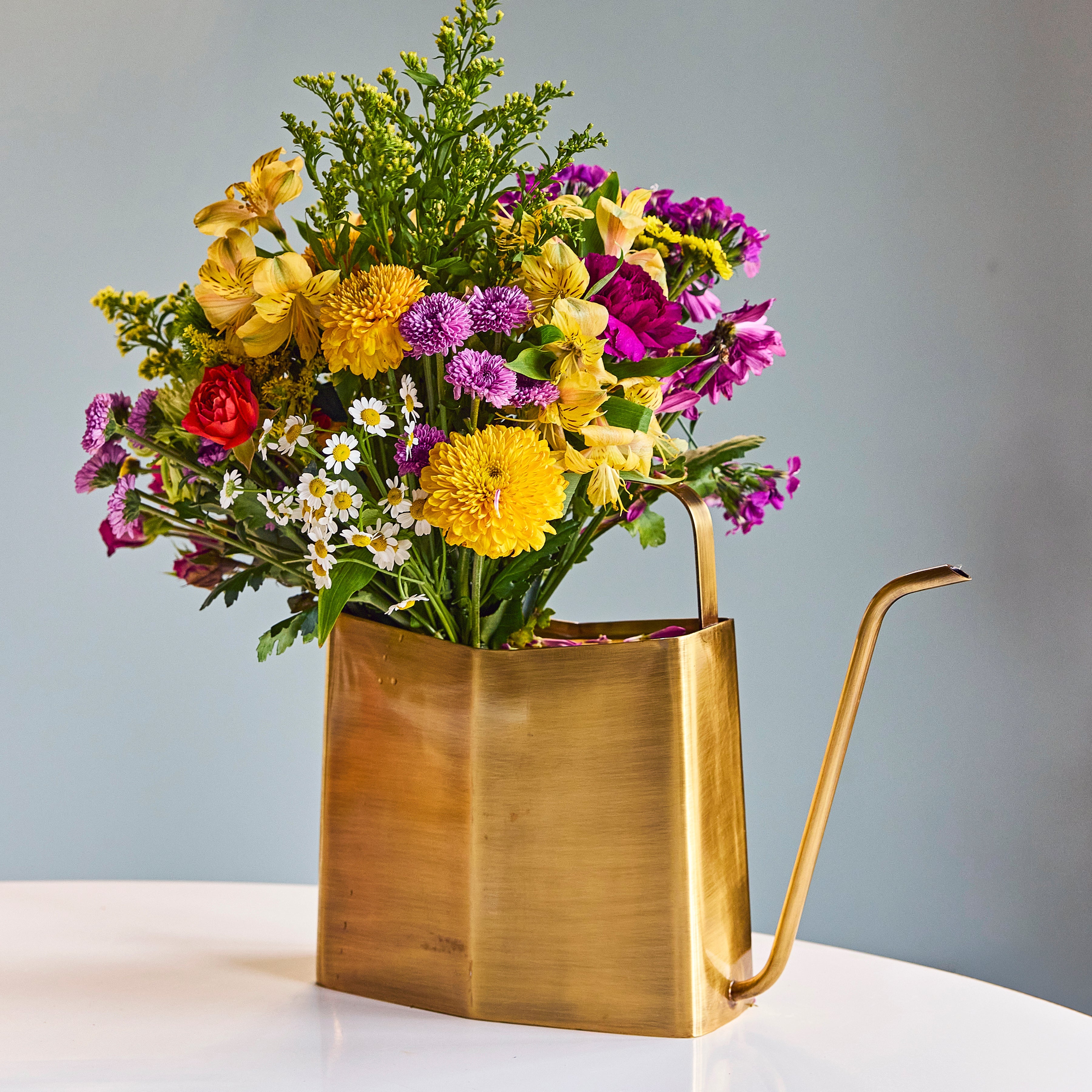 Modern Sprout Watering Cans | Heirloom Boulevard