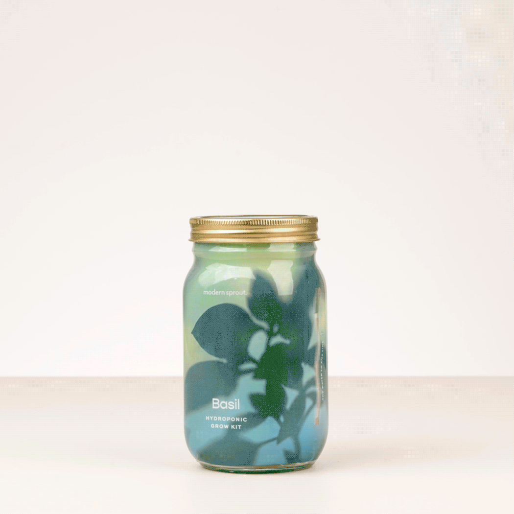 Modern Sprout Garden Jars - Organic Herbs | Heirloom Boulevard