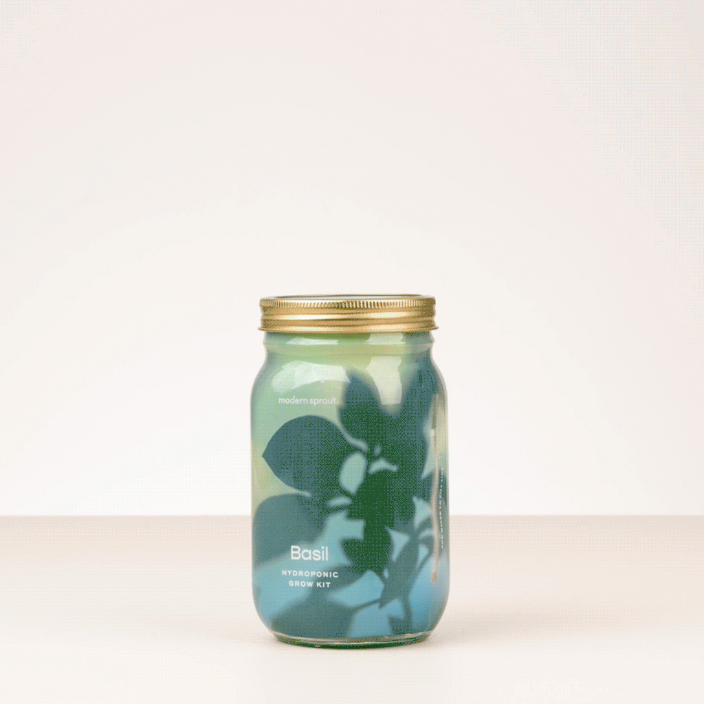 Modern Sprout Garden Jars - Organic Herbs | Heirloom Boulevard
