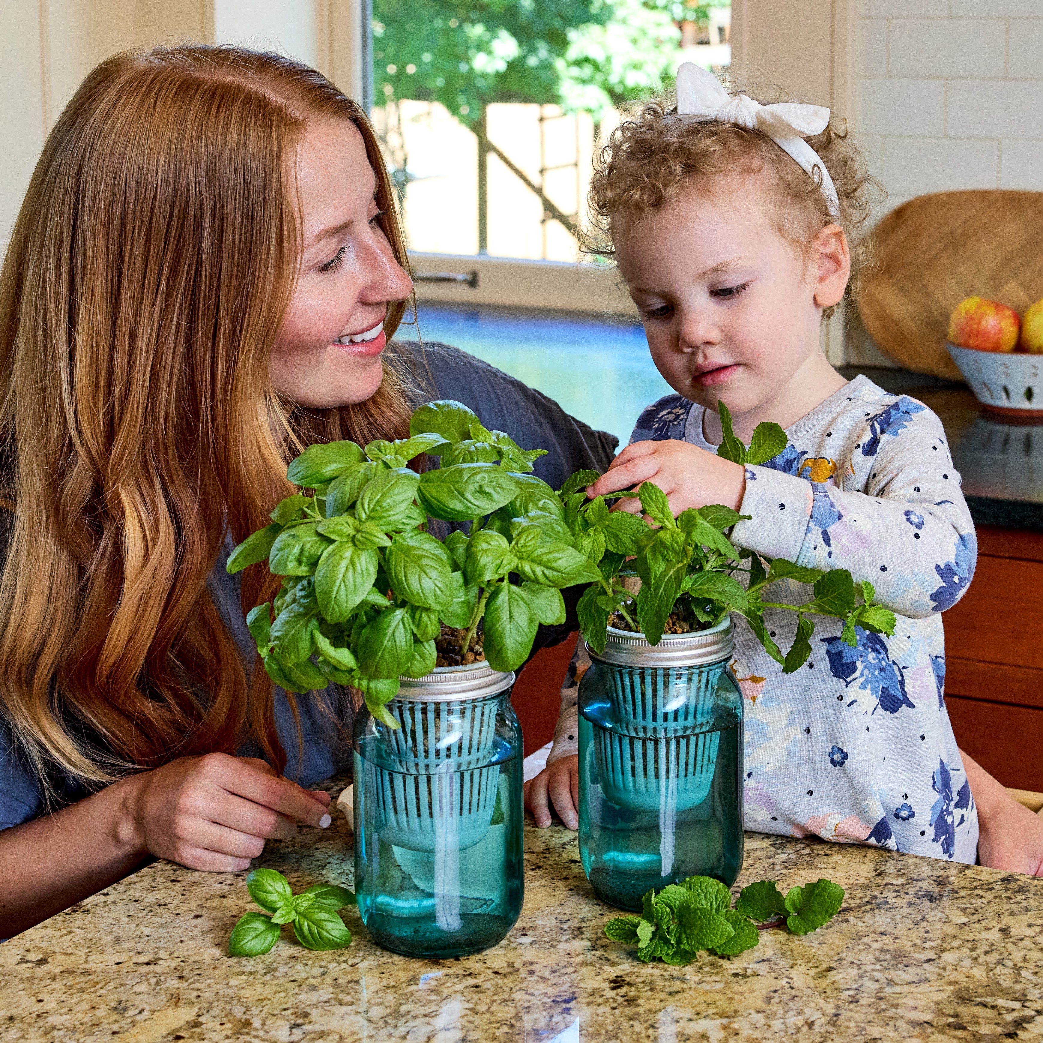 Modern Sprout Garden Jars - Organic Herbs