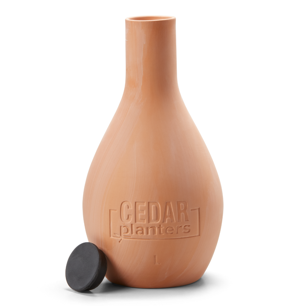 Cedar Planters Self-Watering Clay Olla Pot Large (3 L) | Heirloom Boulevard