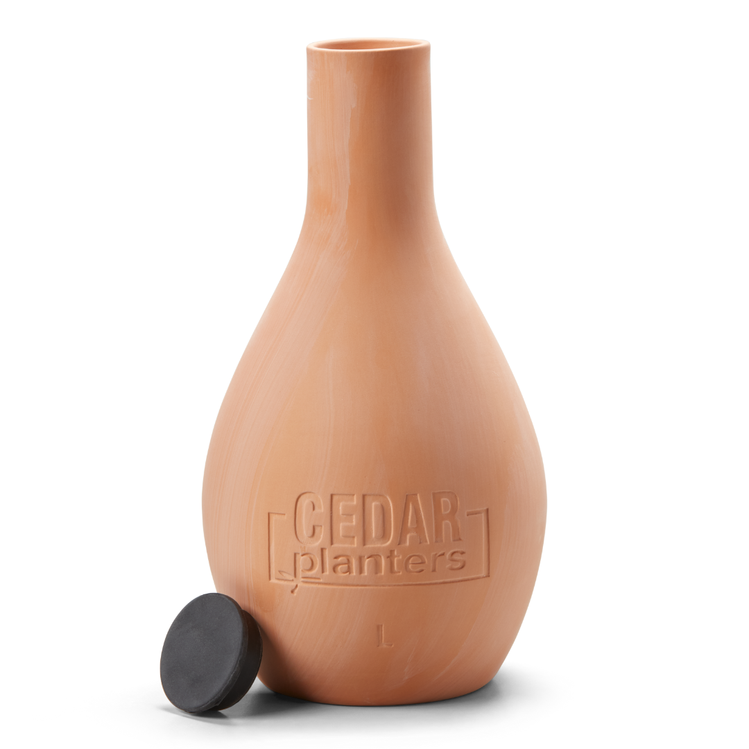 Cedar Planters Self-Watering Clay Olla Pot Large (3 L) | Heirloom Boulevard