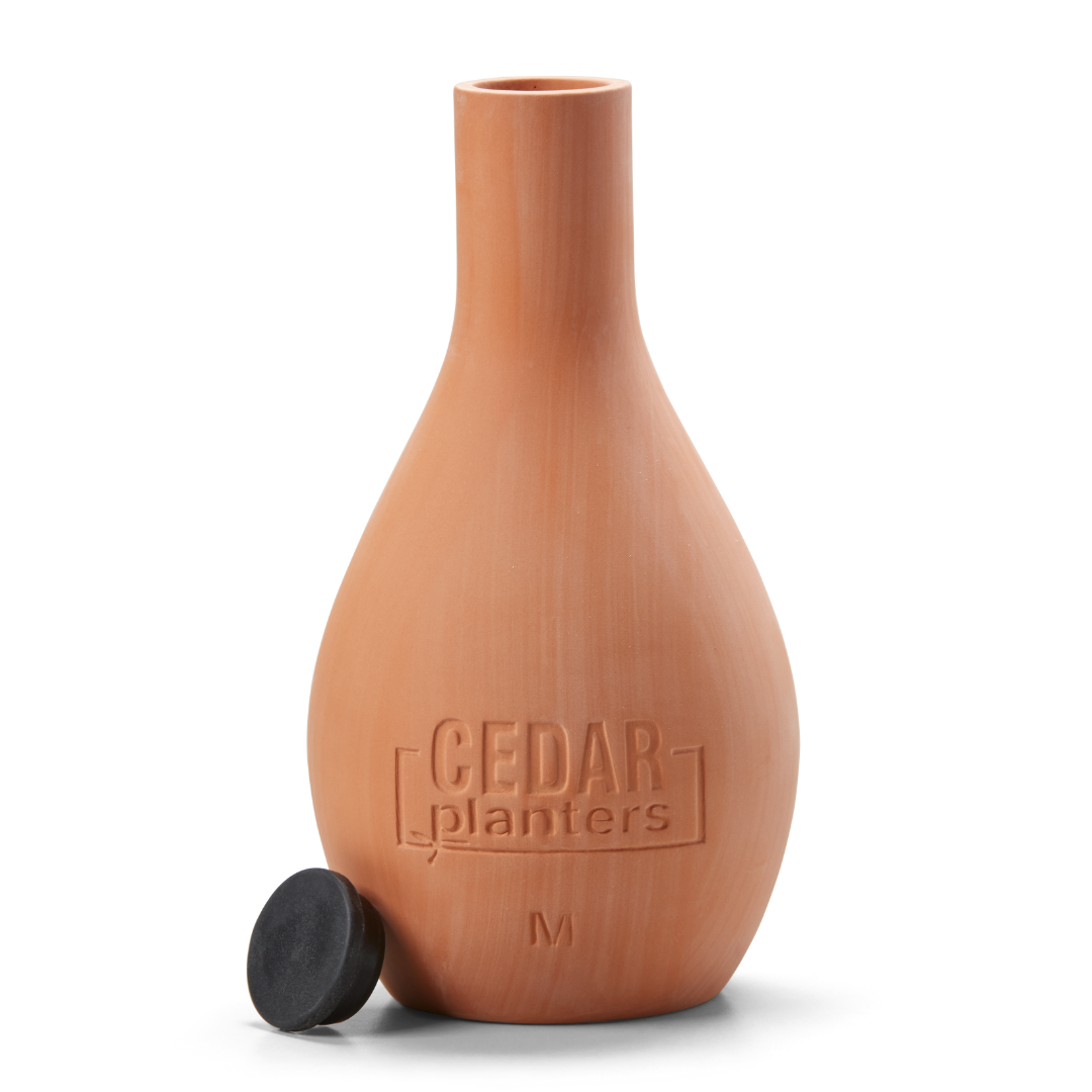 Cedar Planters Self-Watering Clay Olla Pot Medium (1 L) | Heirloom Boulevard