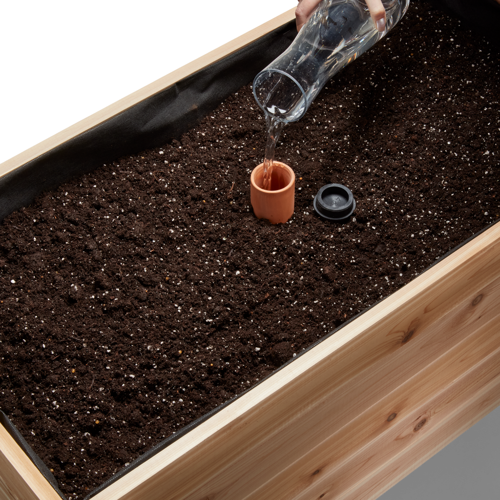 Cedar Planters Self-Watering Clay Olla Pot | Heirloom Boulevard
