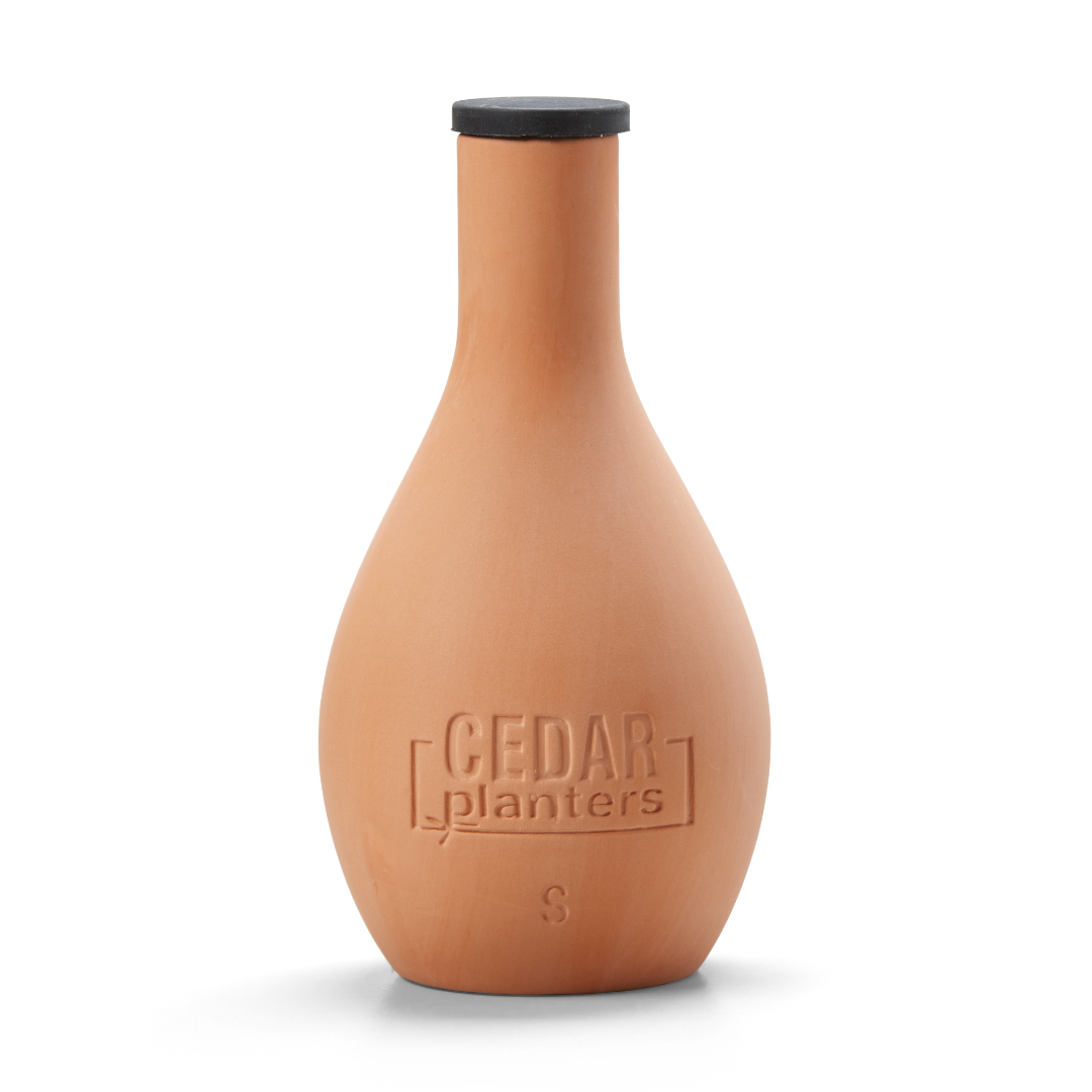 Cedar Planters Self-Watering Clay Olla Pot | Heirloom Boulevard